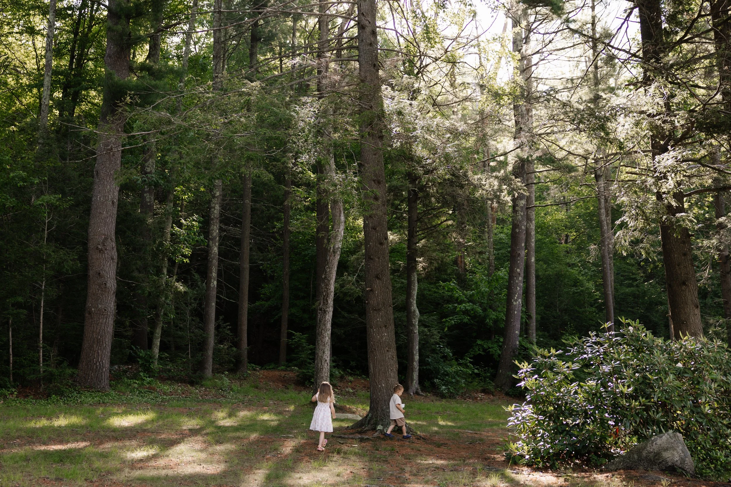 Kids in a forest during a family photography session. Photography by Sienna Renee Photography.