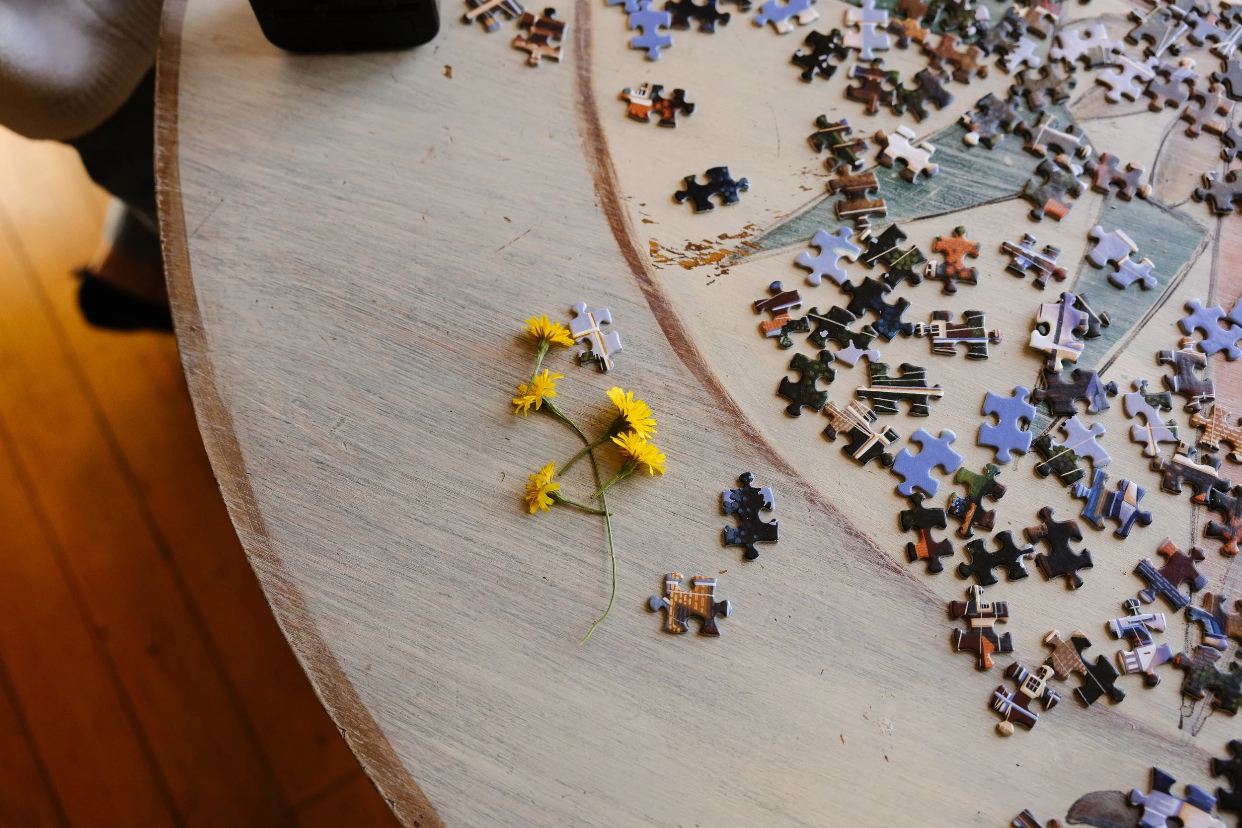 Details of a puzzle and picked dandelions during an at home family photography session in Maine. Photography by Sienna Renee Photography.