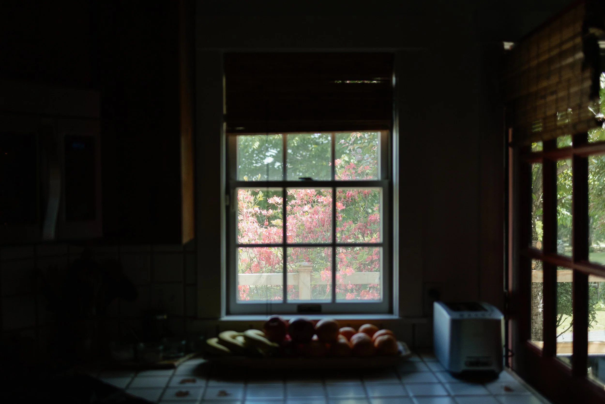 View of a window at a home during a small backyard wedding in Norway, Maine. Photography by Sienna Renee Photography.