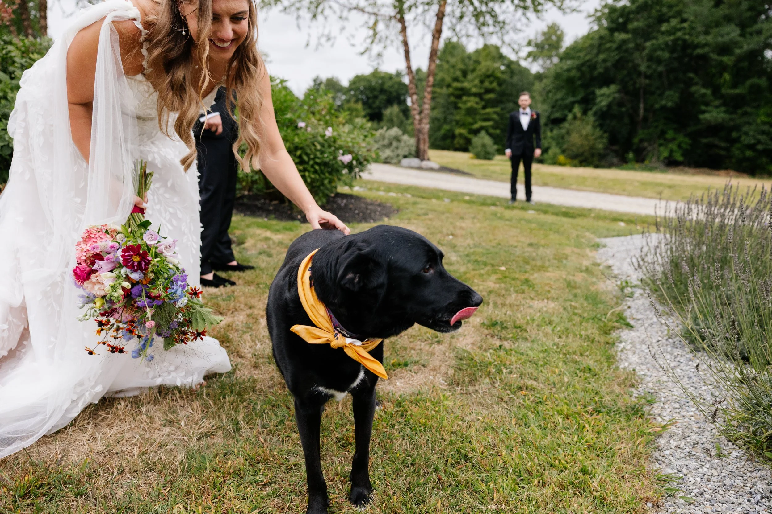 A bride pets a dog during her wedding day in Wiscasset, Maine at Marianmade Farm. Photography by Sienna Renee Photography.