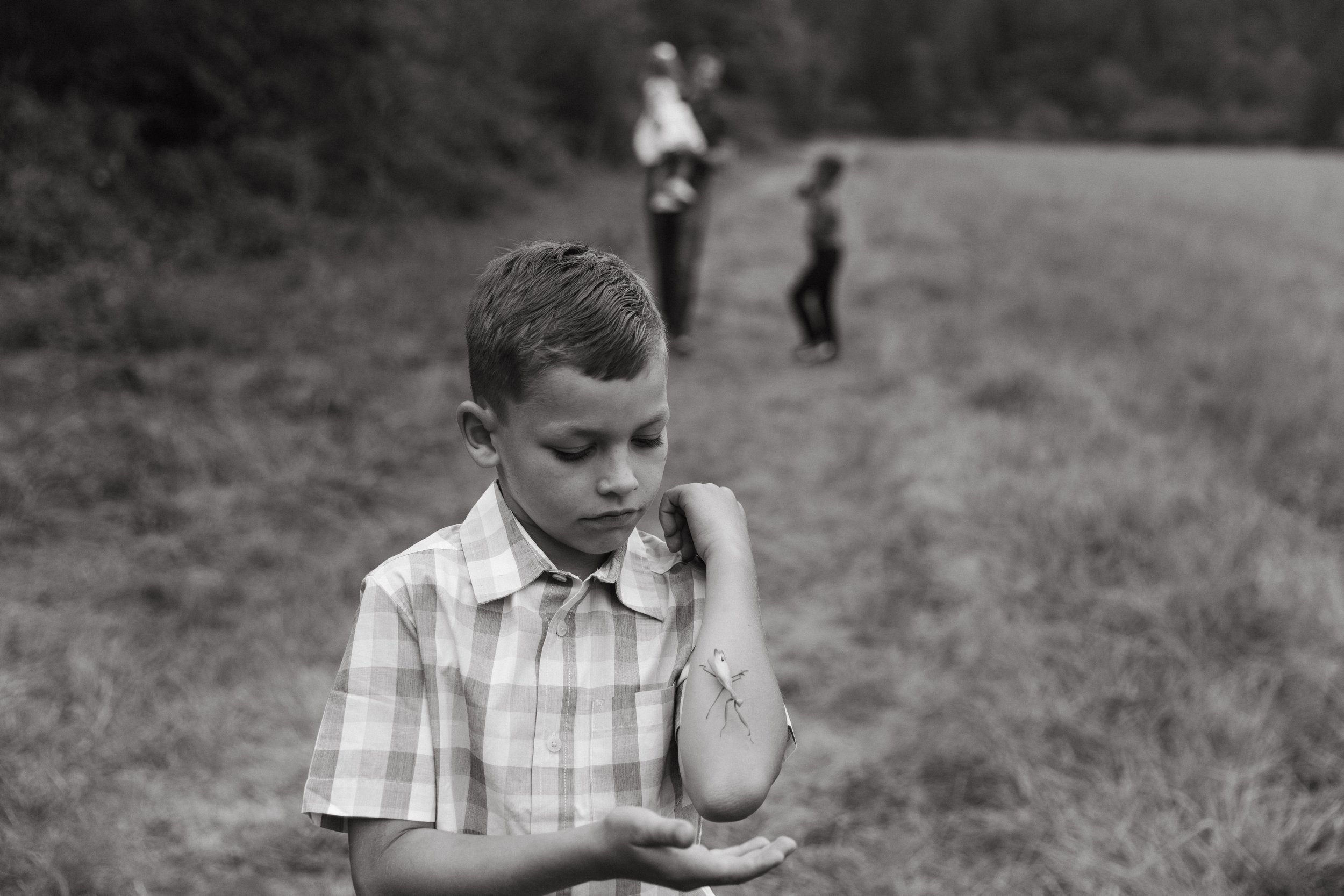 A boy holds a praying mantis during a family photo session. Photography by Sienna Renee Photography.