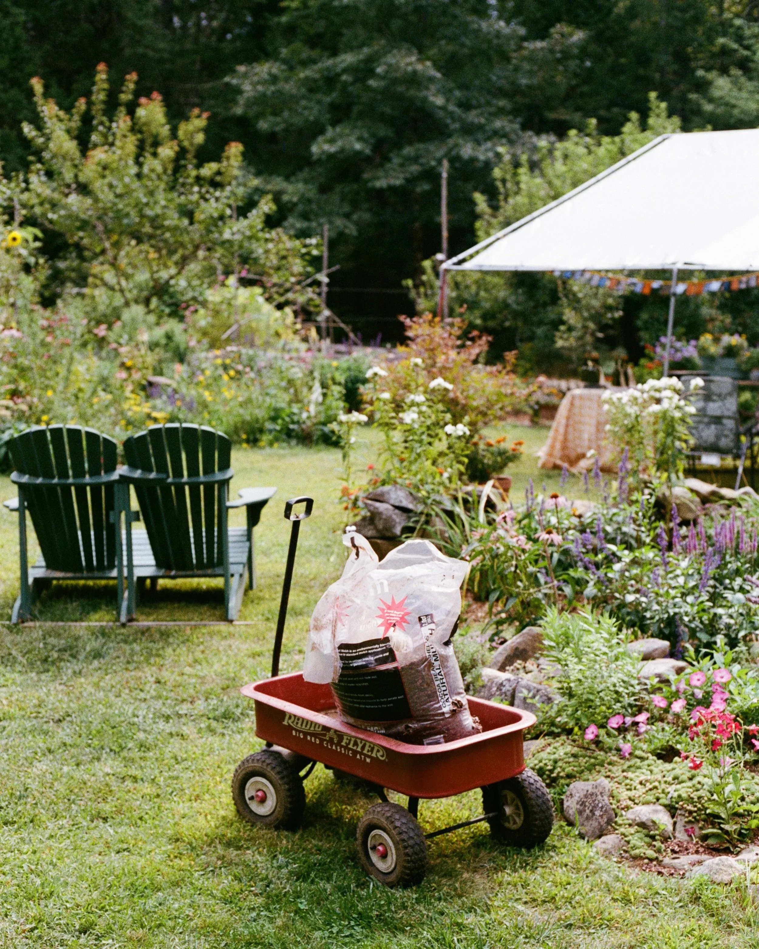 Preparations before guests arrive during an intimate backyard wedding in Maine. Photography by Sienna Renee Photography.