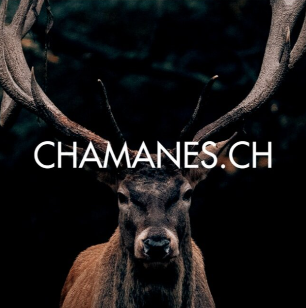 chamanes.png