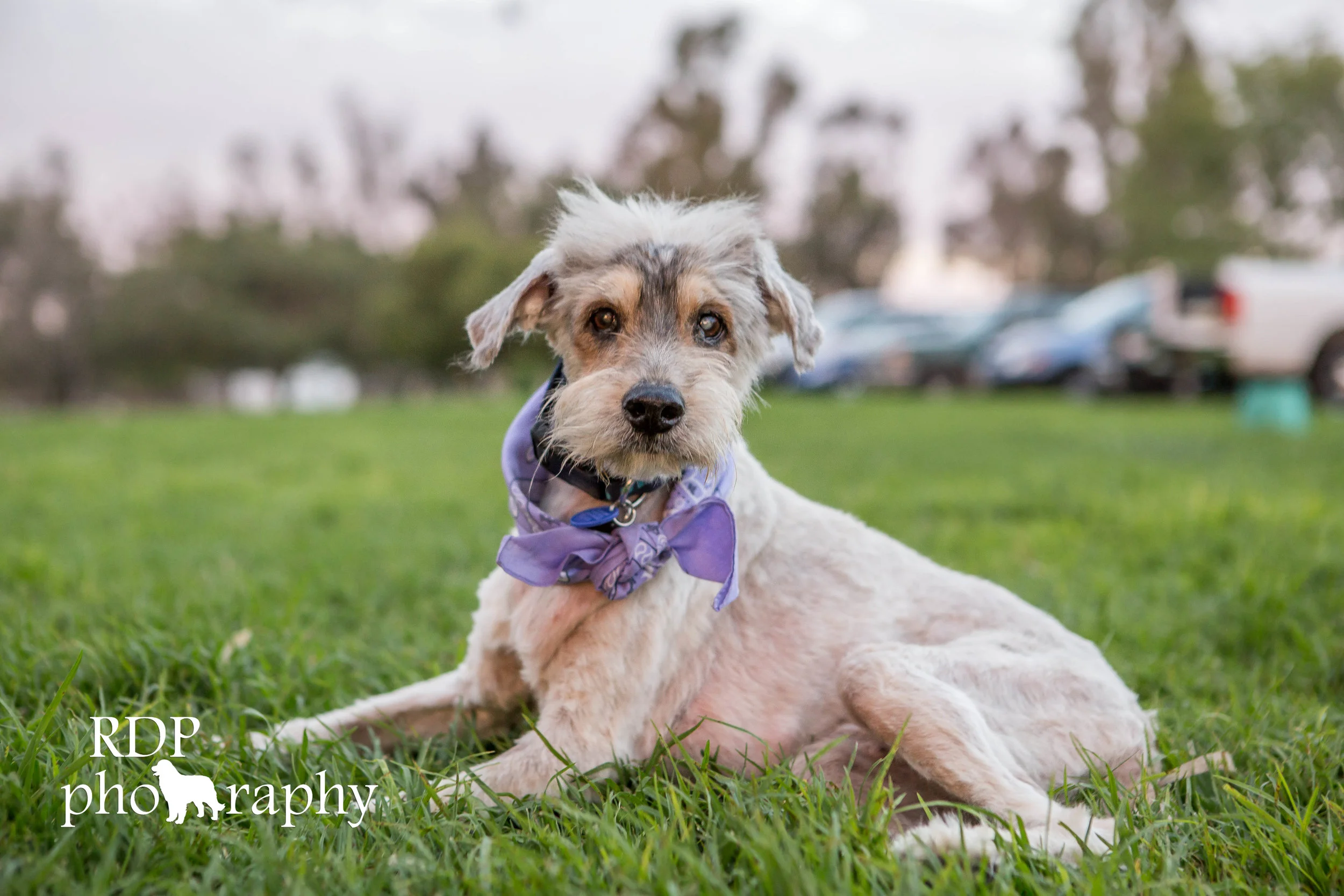 Benny-6818.jpg