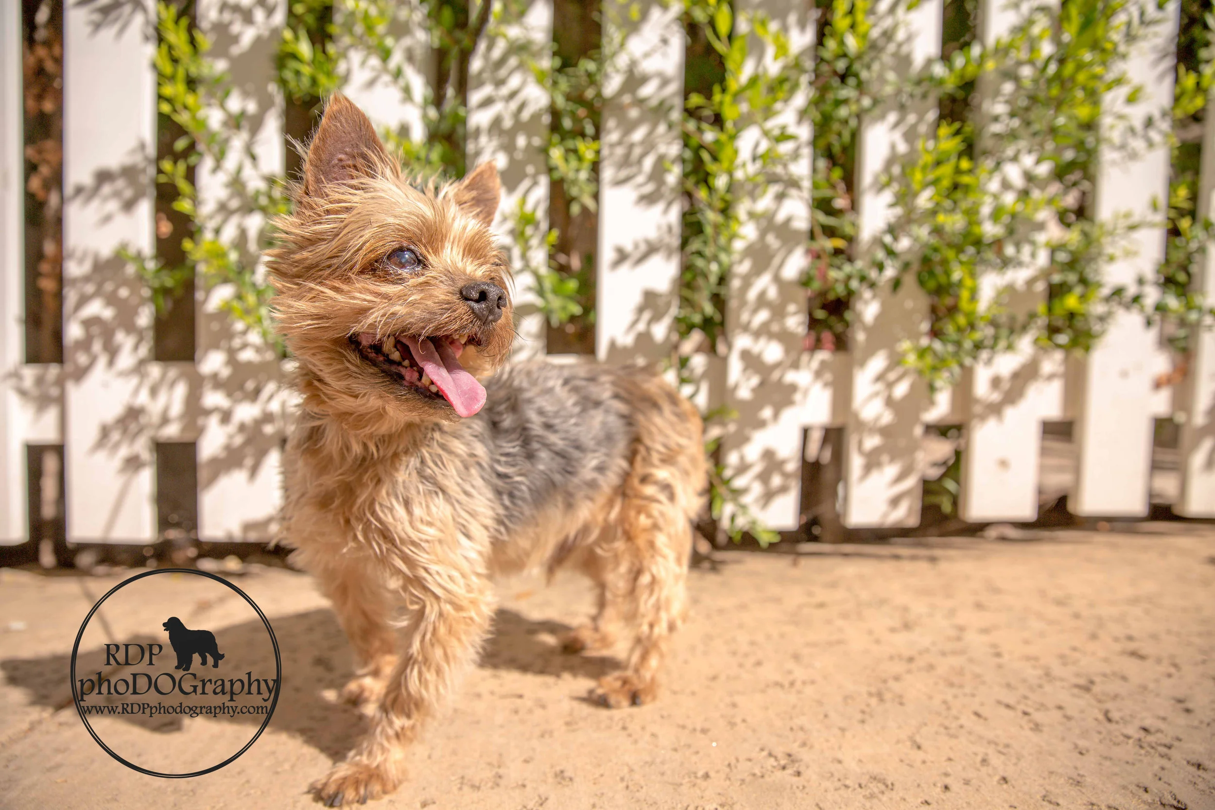Zeus-IMG_5847-Edit.jpg