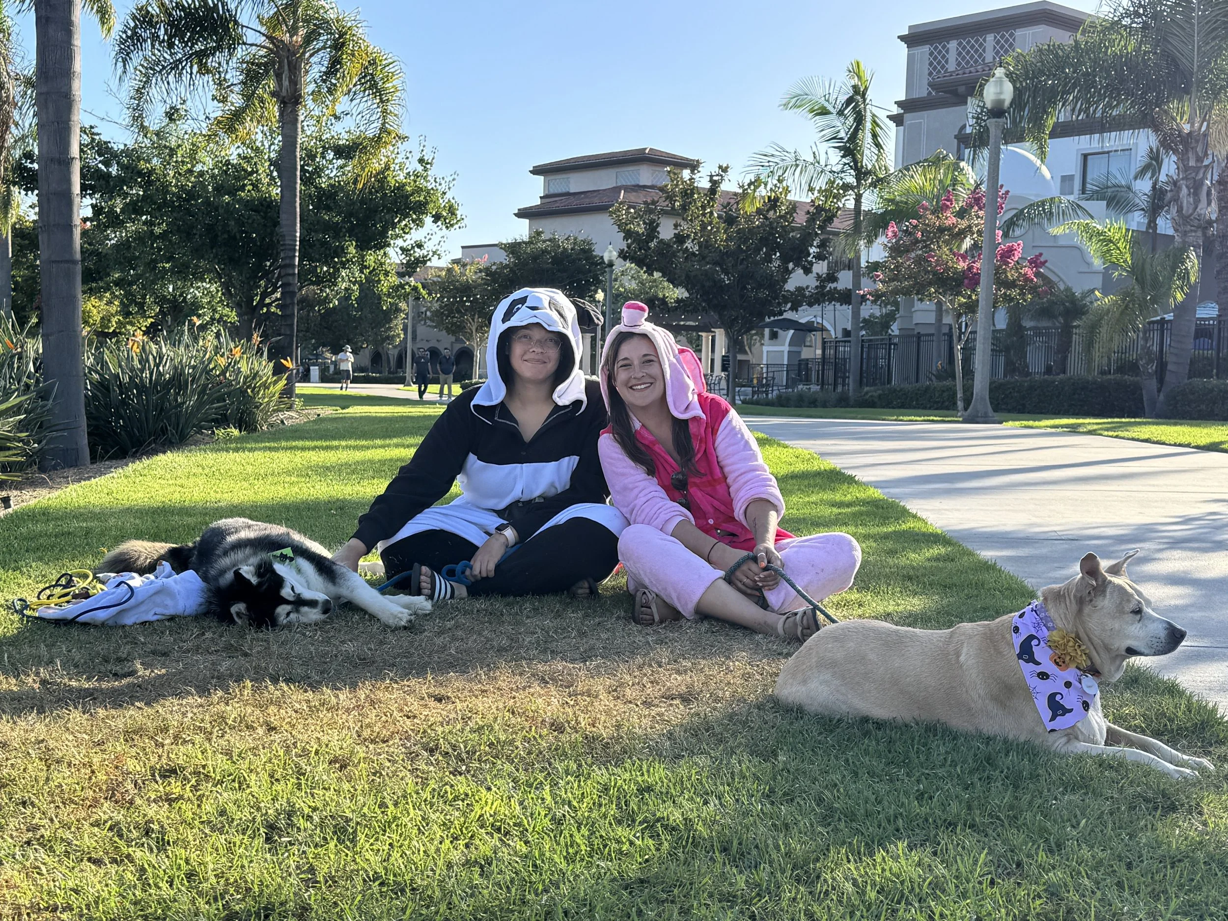 Merchants Safe Trick or Treat