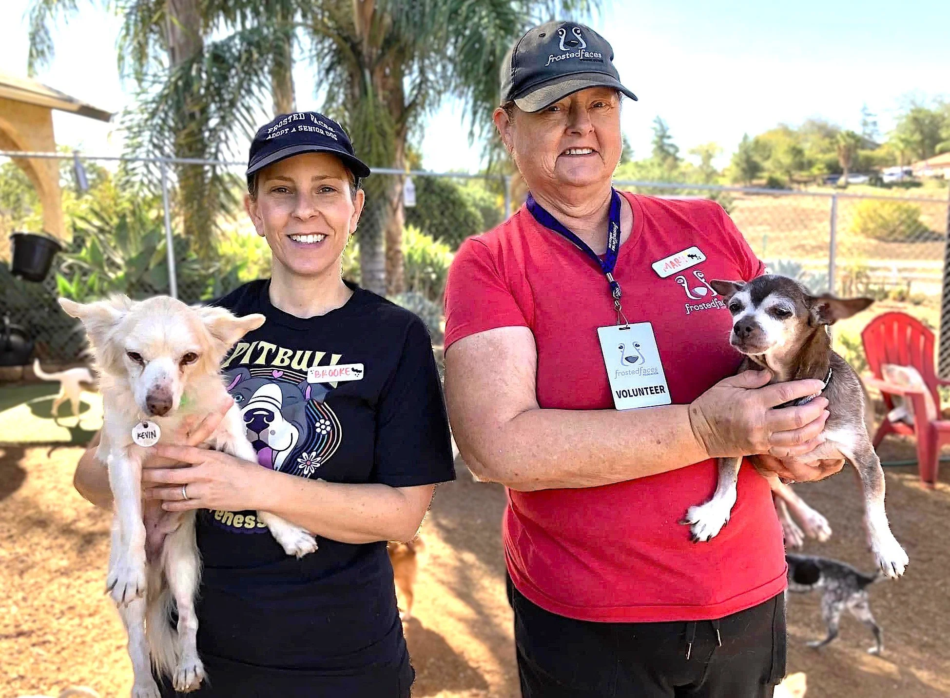 Volunteer Orientation at Frosted Faces