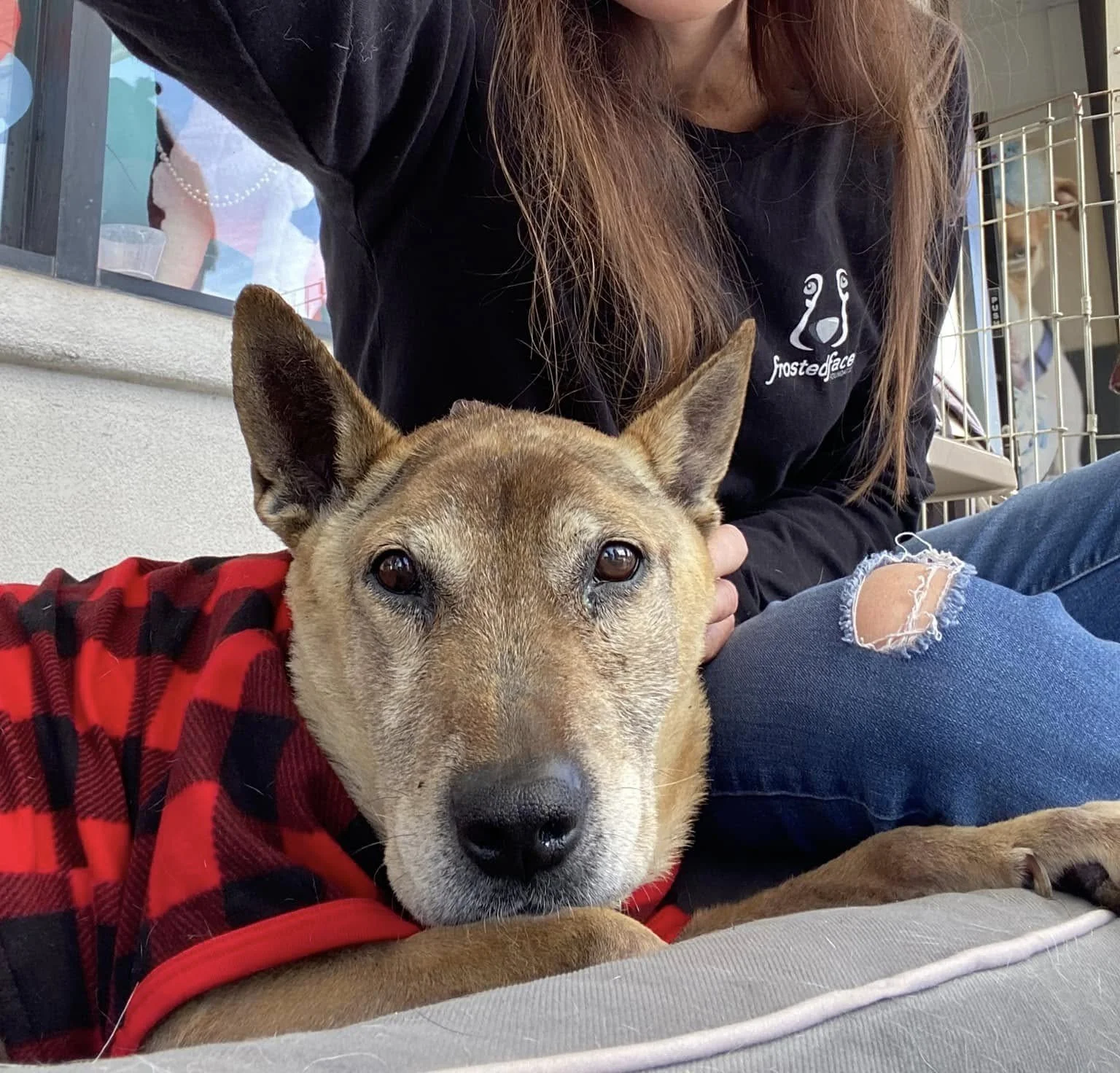 Frosted Faces in North Park 