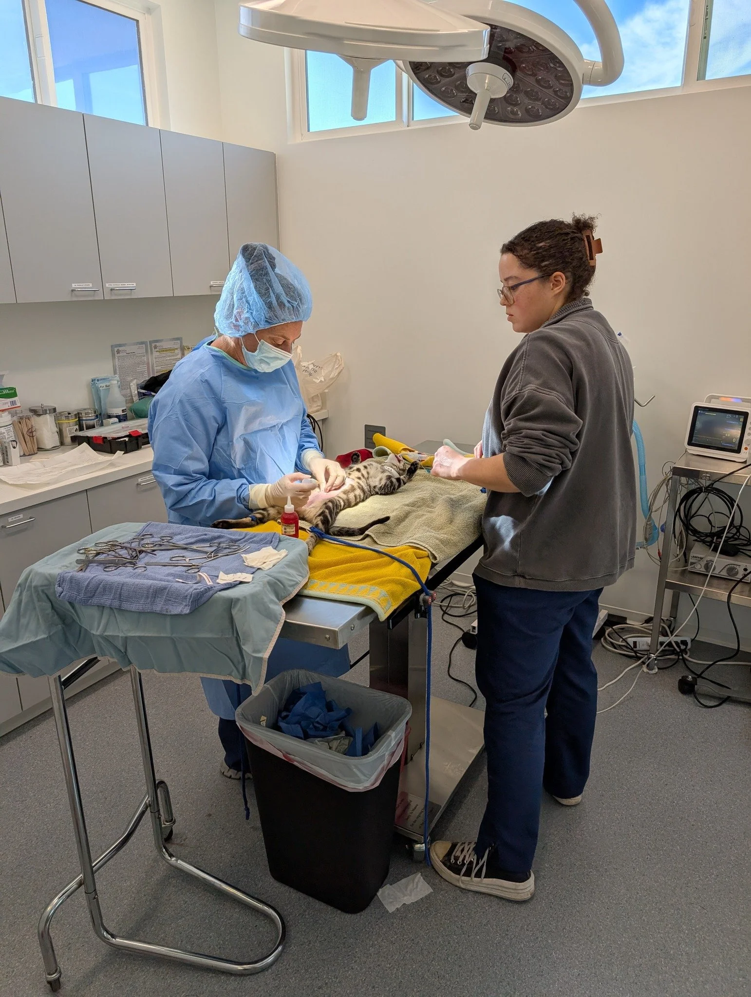 SANSTEP Spay &amp; Neuter Clinic (Copy)