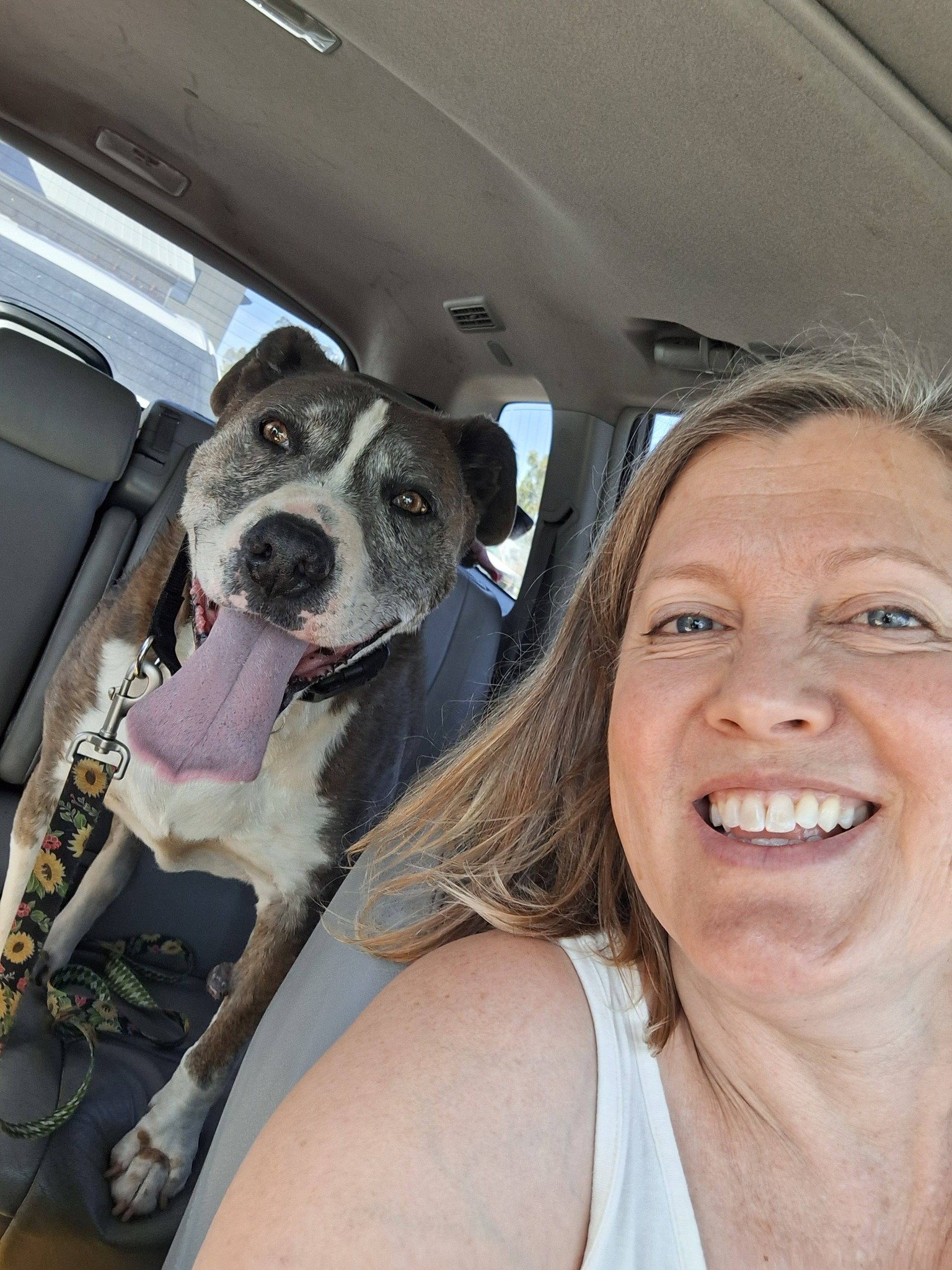 AACR Convention Wellness Area
