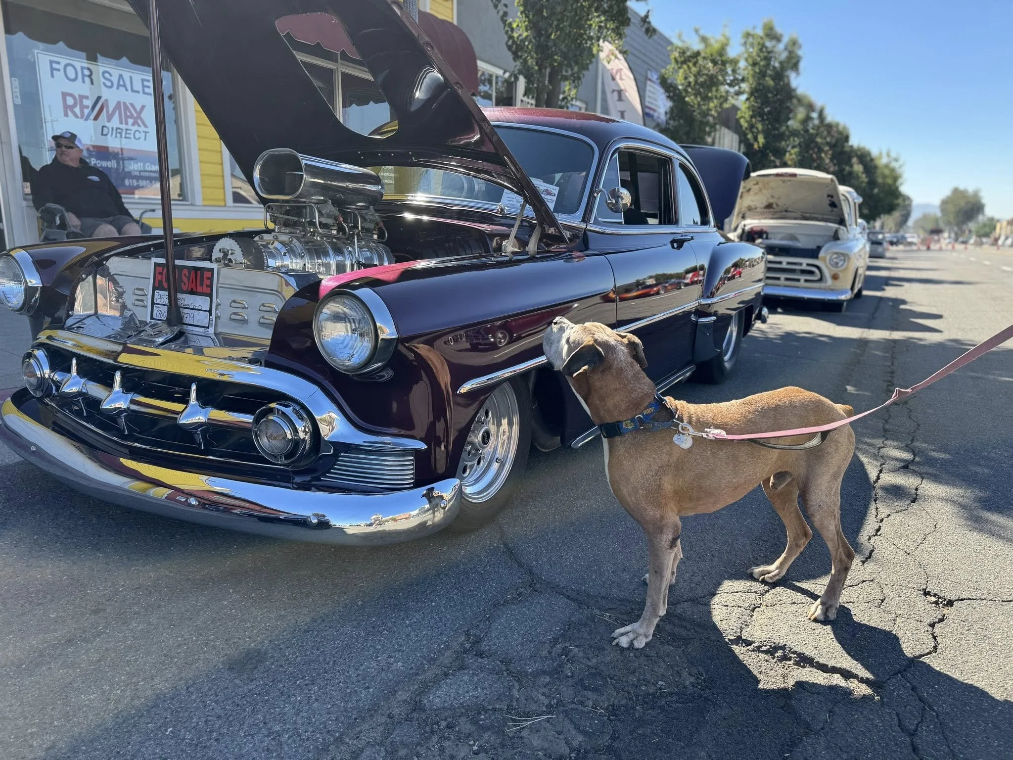 Frosted Faces at Cruisin' Grand