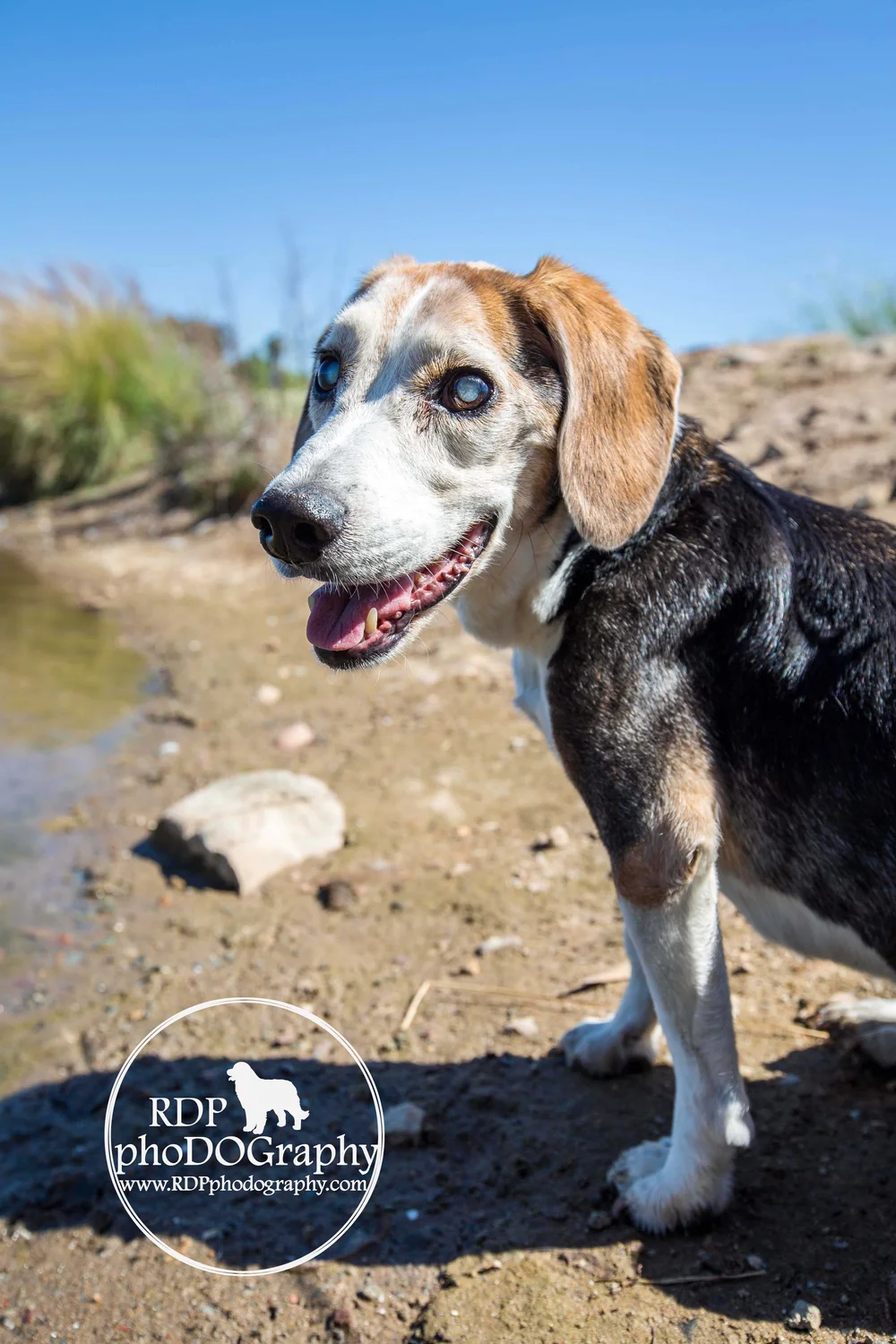 Events — Frosted Faces Foundation