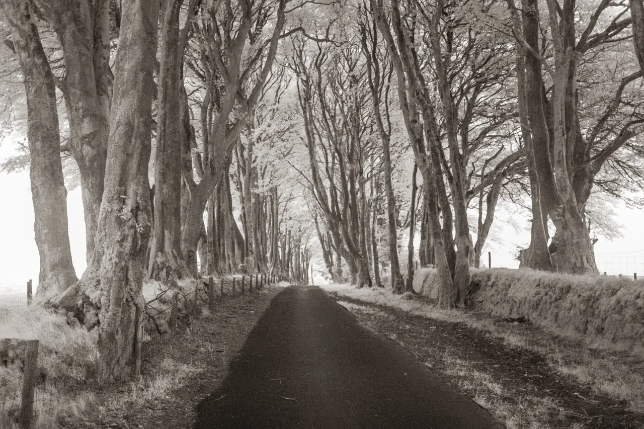 Dartmoor scene, Infrared