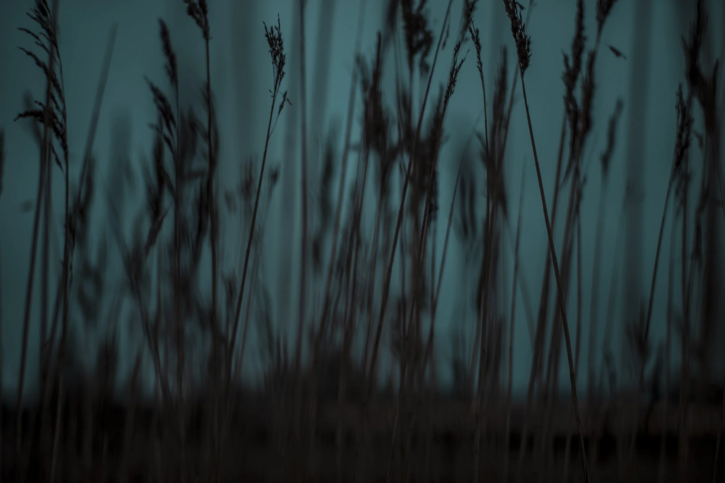 untitled-5.jpg