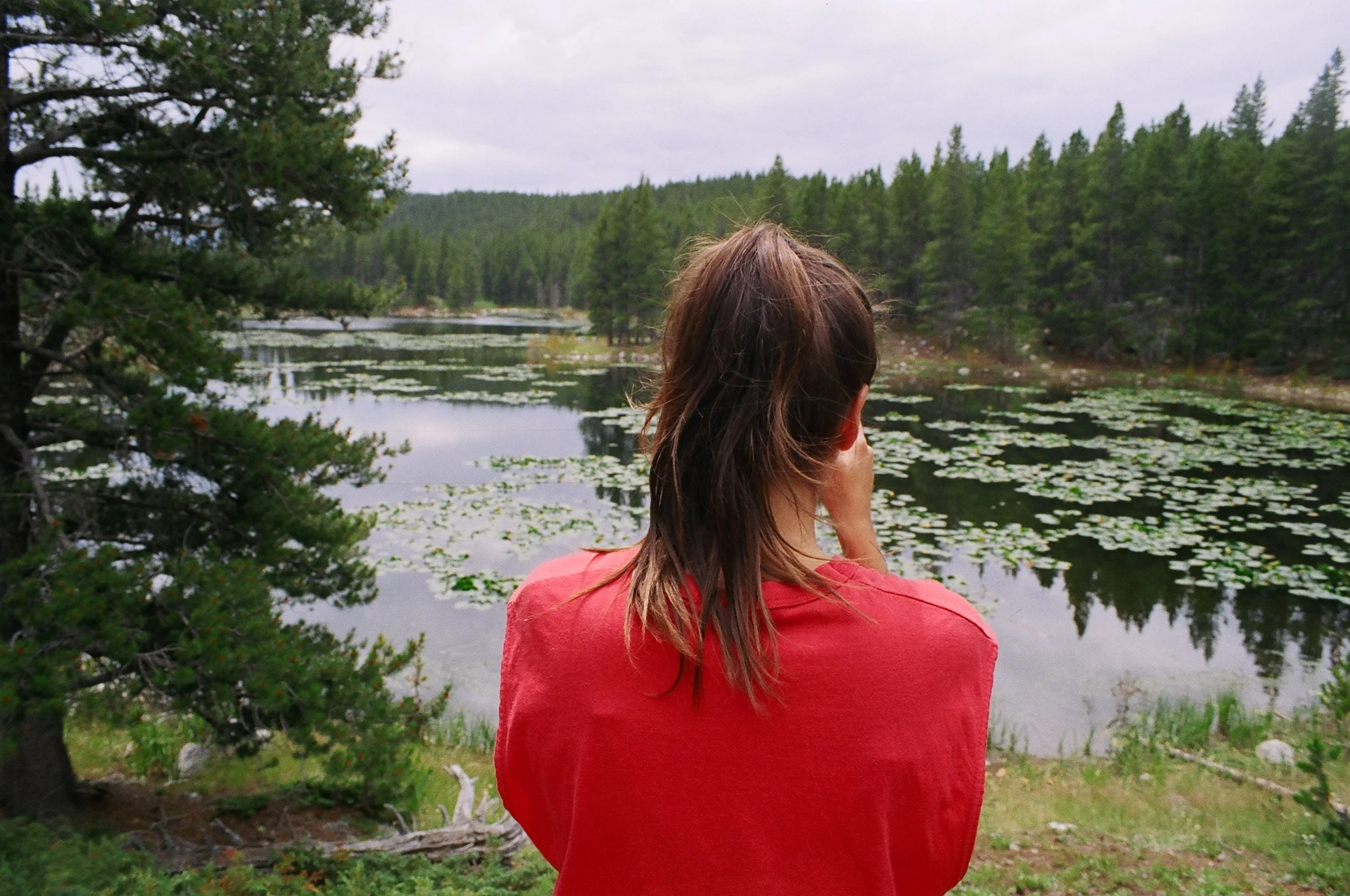   Complementary , 2012 