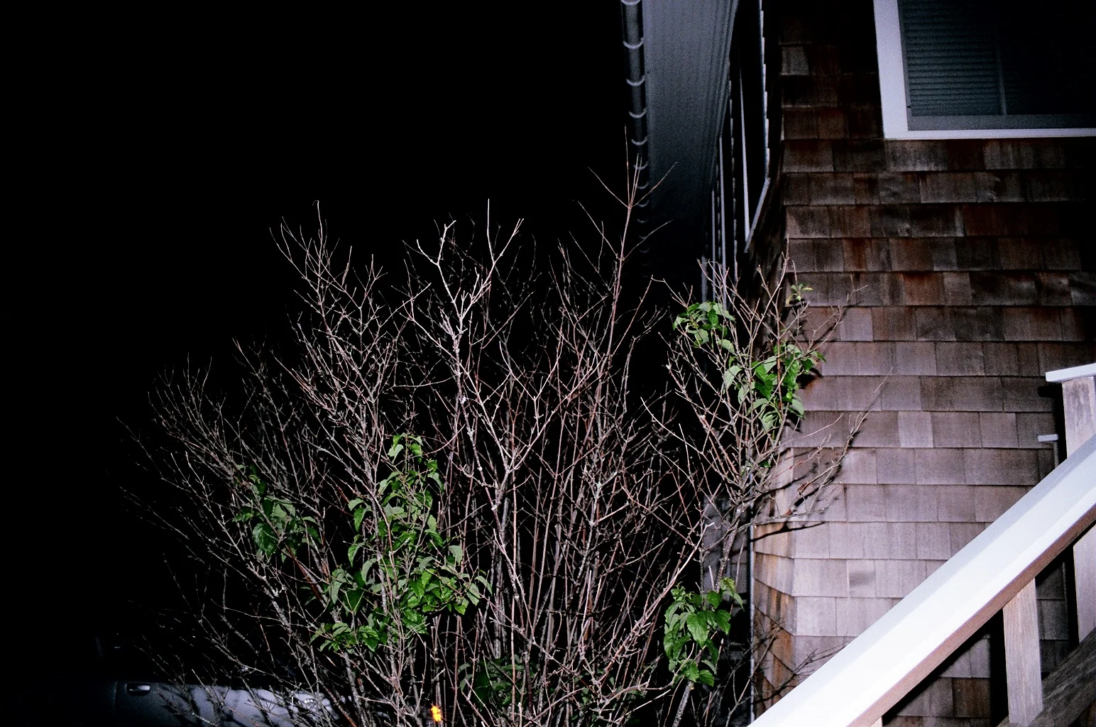   Night Moves,&nbsp; 2011 