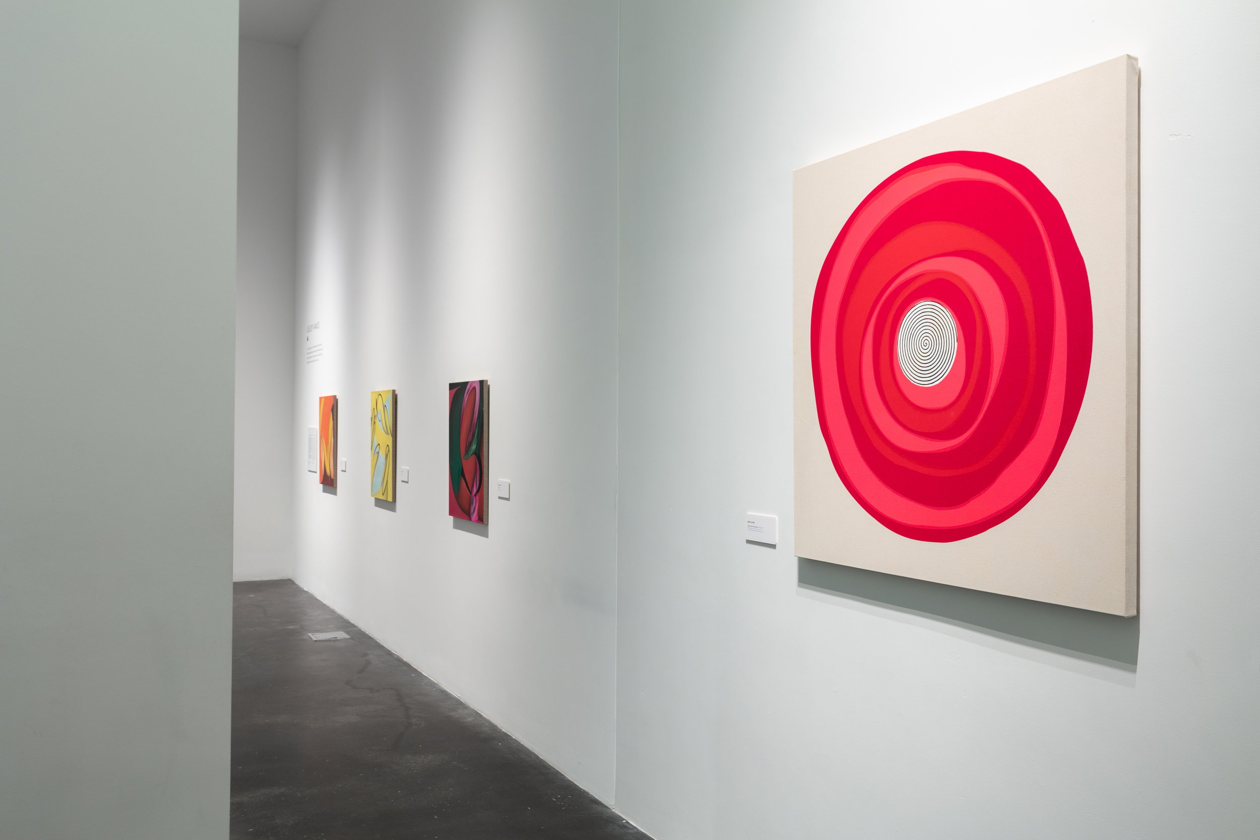 Aftereffect: O'Keeffe and Contemporary Painting, MCA Denver 2019