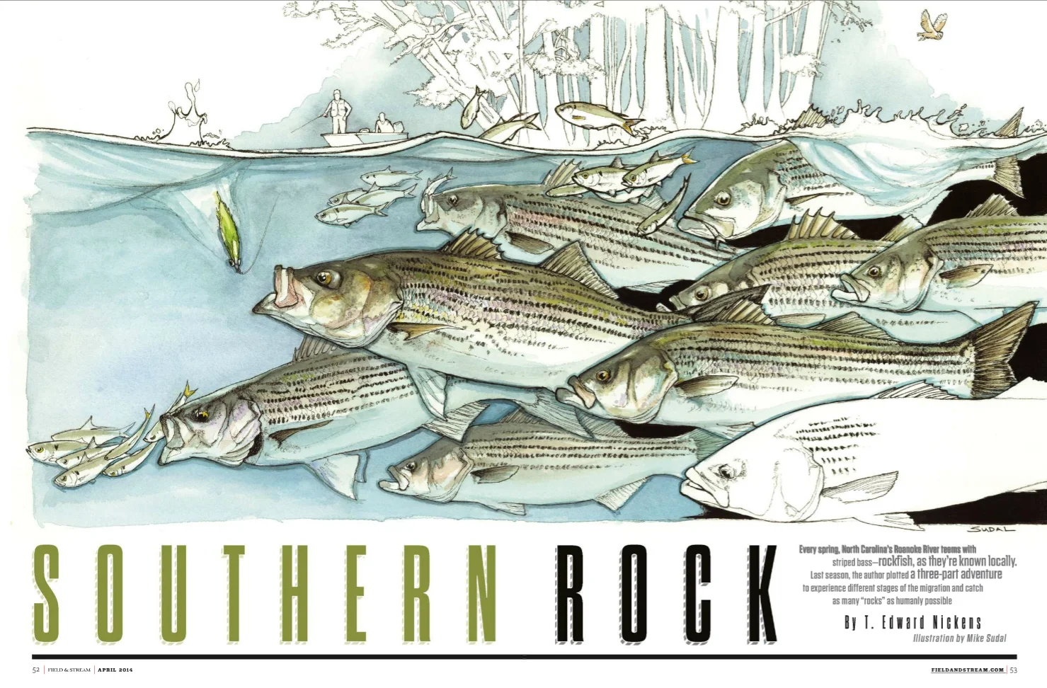 NC_Striper.jpg