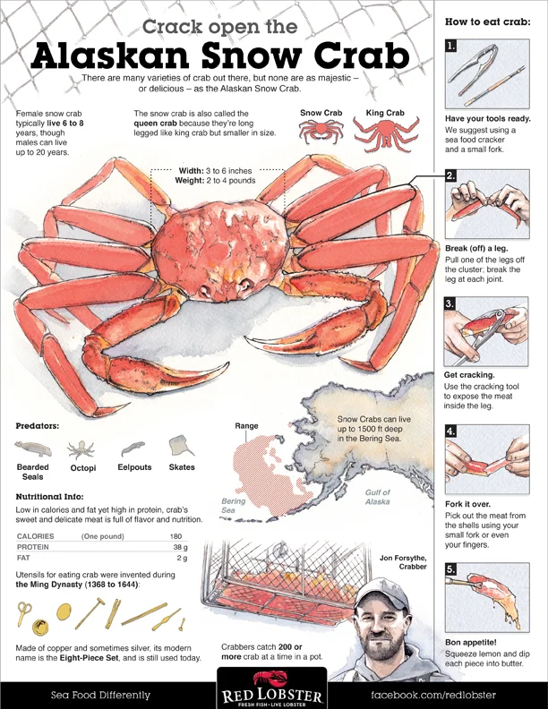 Cracking Open the Alaskan Snow Crab