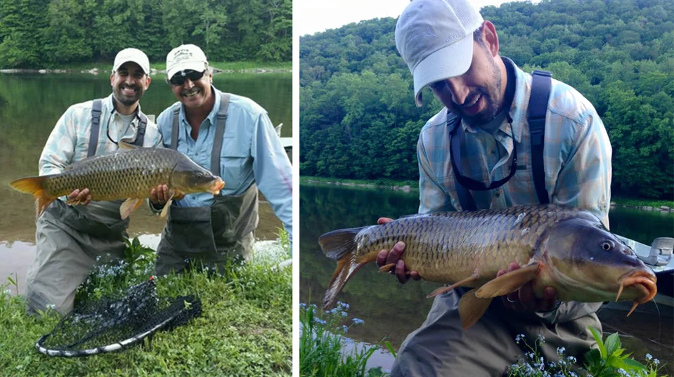 Carp.jpg