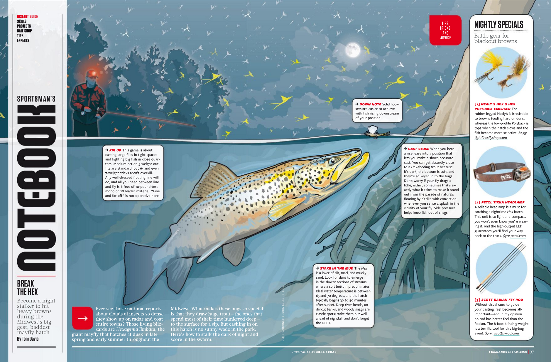 Nightime Trout.png