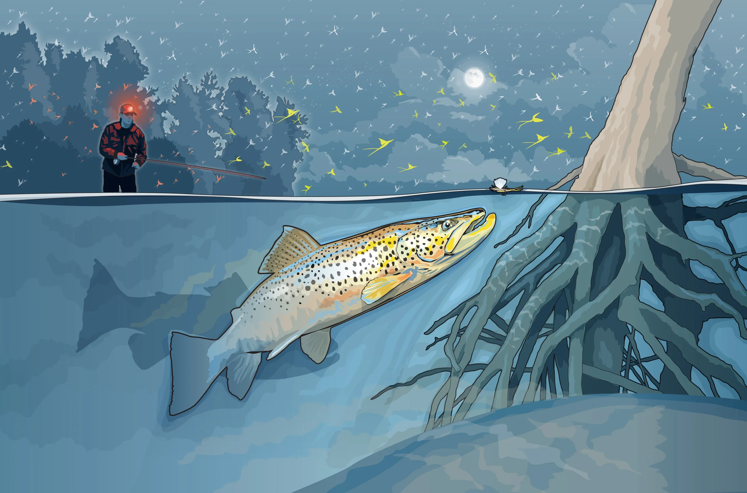 Nightime_trout_Illo2 2.jpg