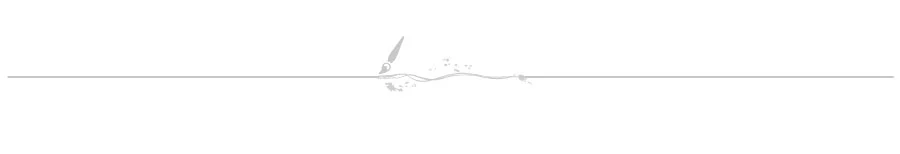 line-3.jpg