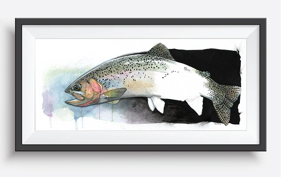 Westslope Cutthroat Trout