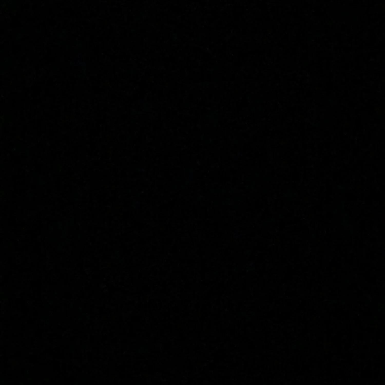 In Lieu of This Week’s Post