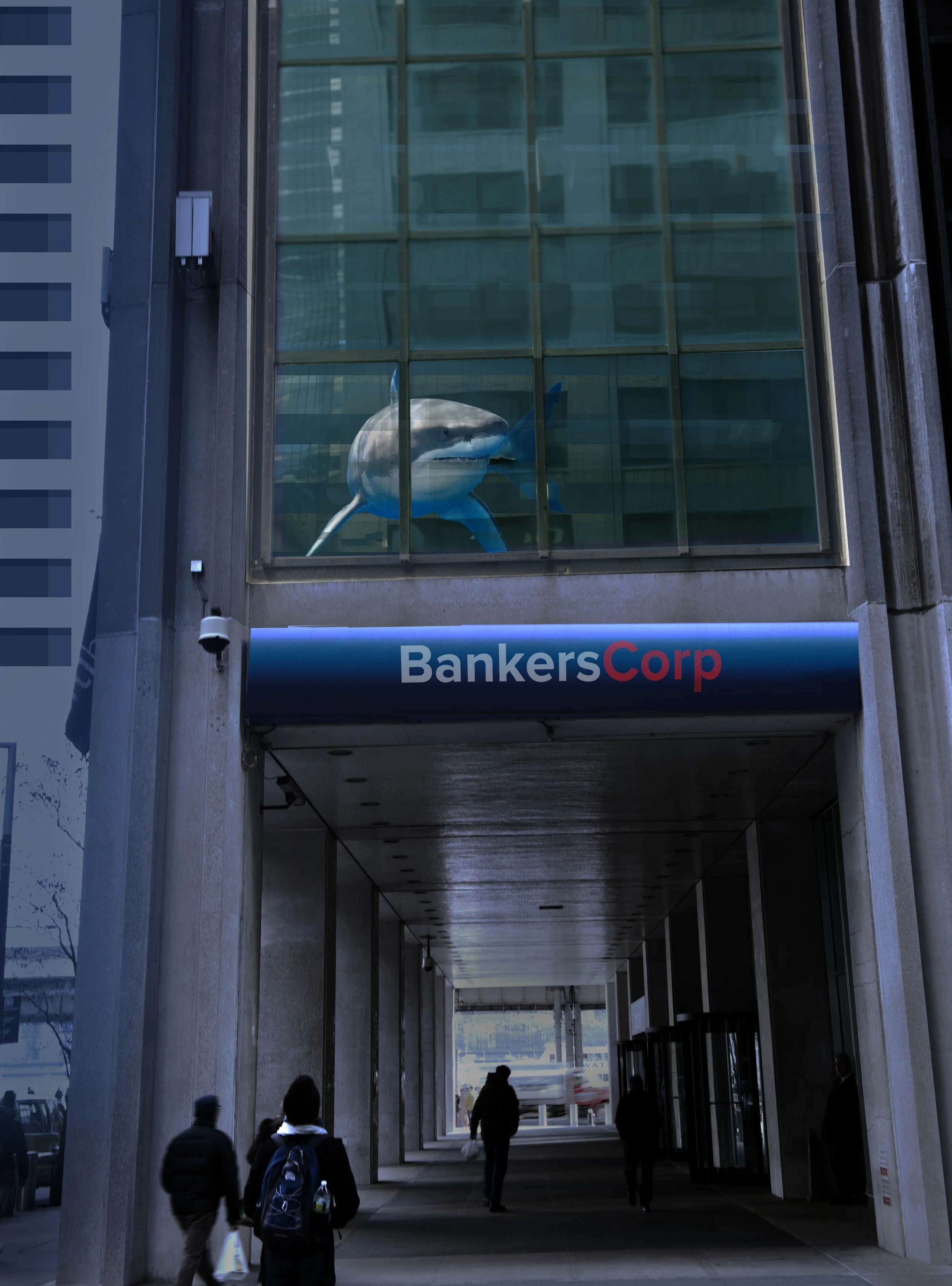 bancShark_9.jpg