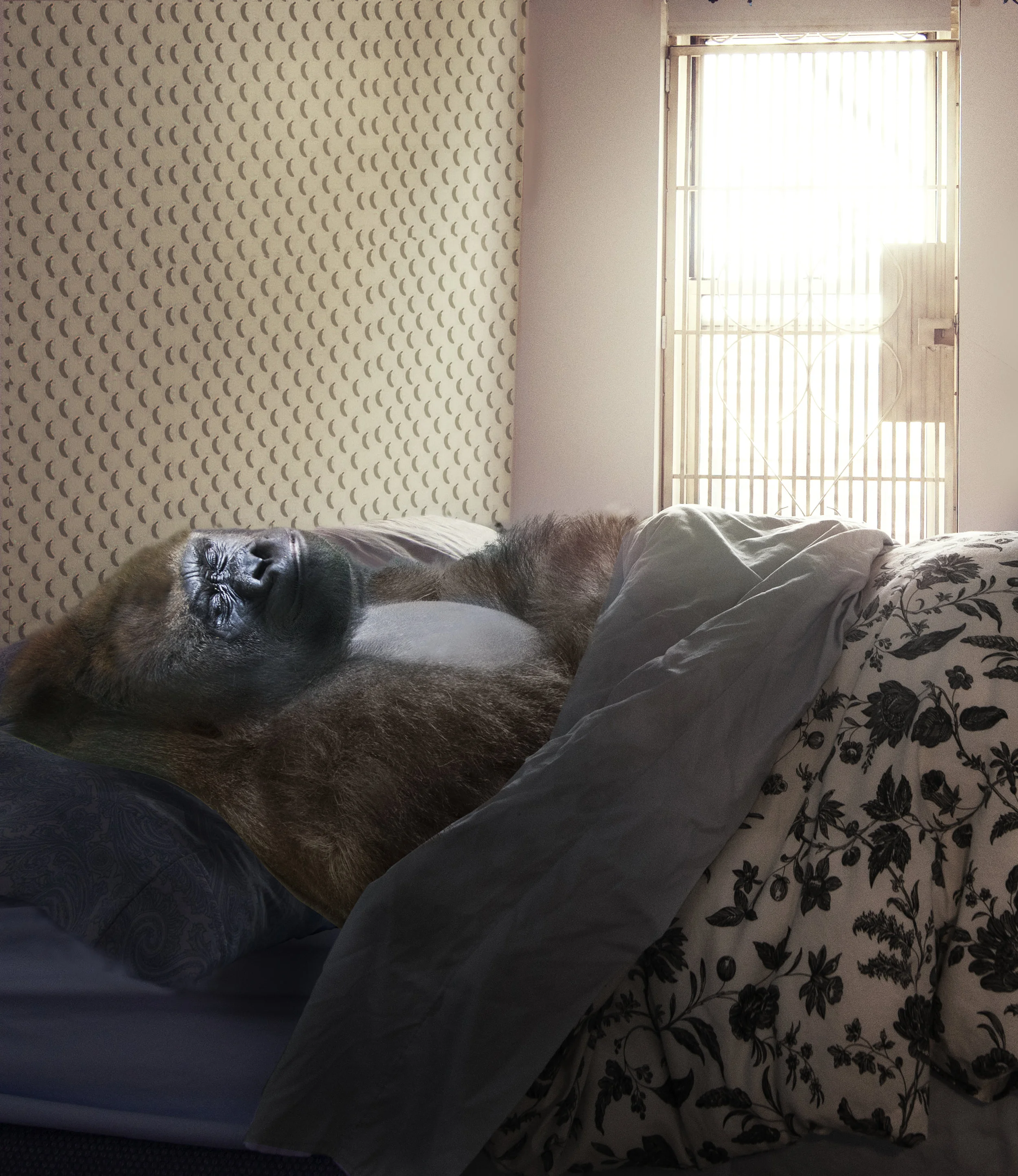 gorillaInMyBed_banana12.jpg