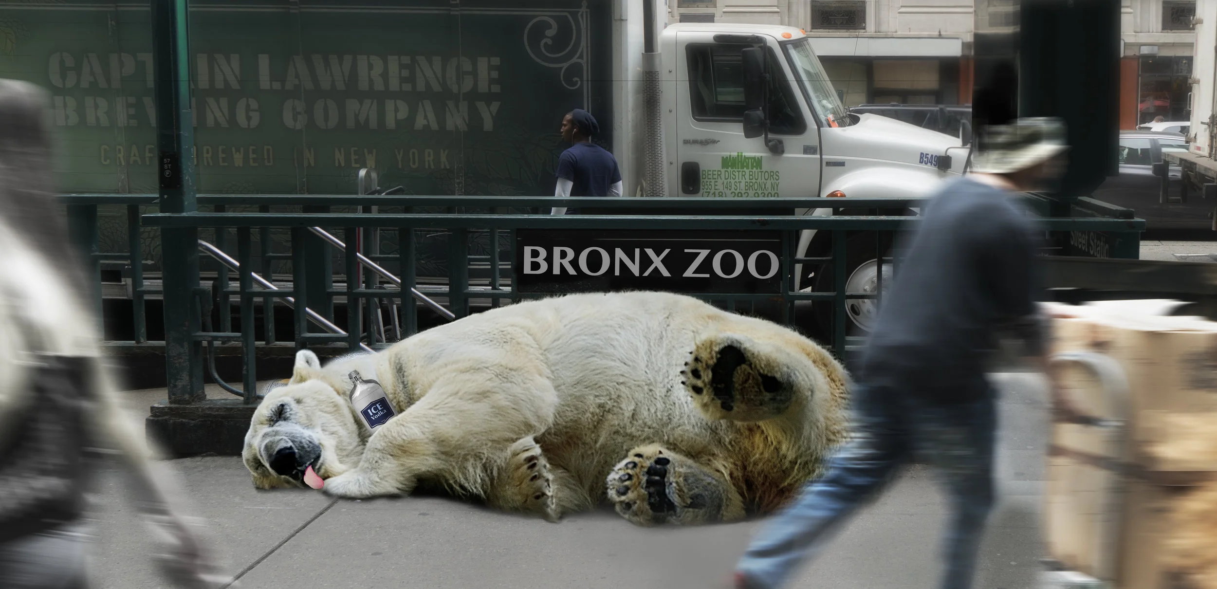 polarBearHangover_C.jpg