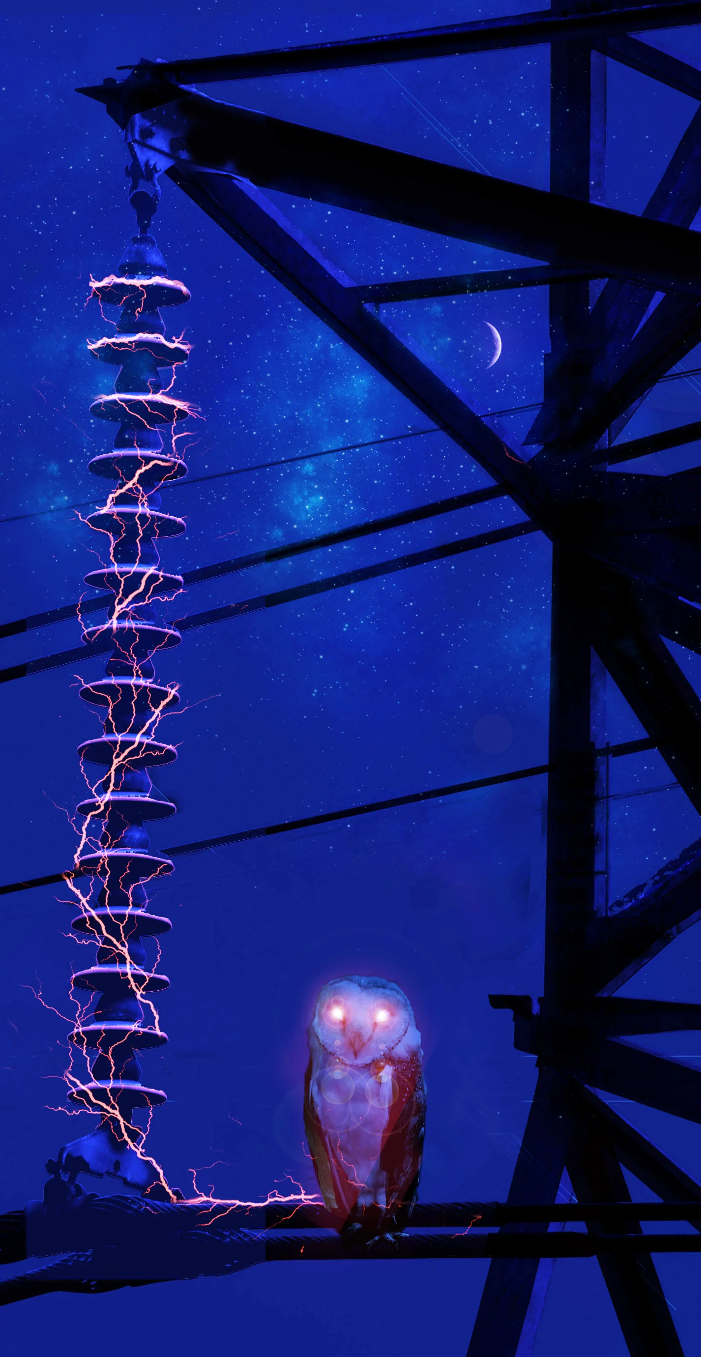 HighVoltageOwl_212.jpg