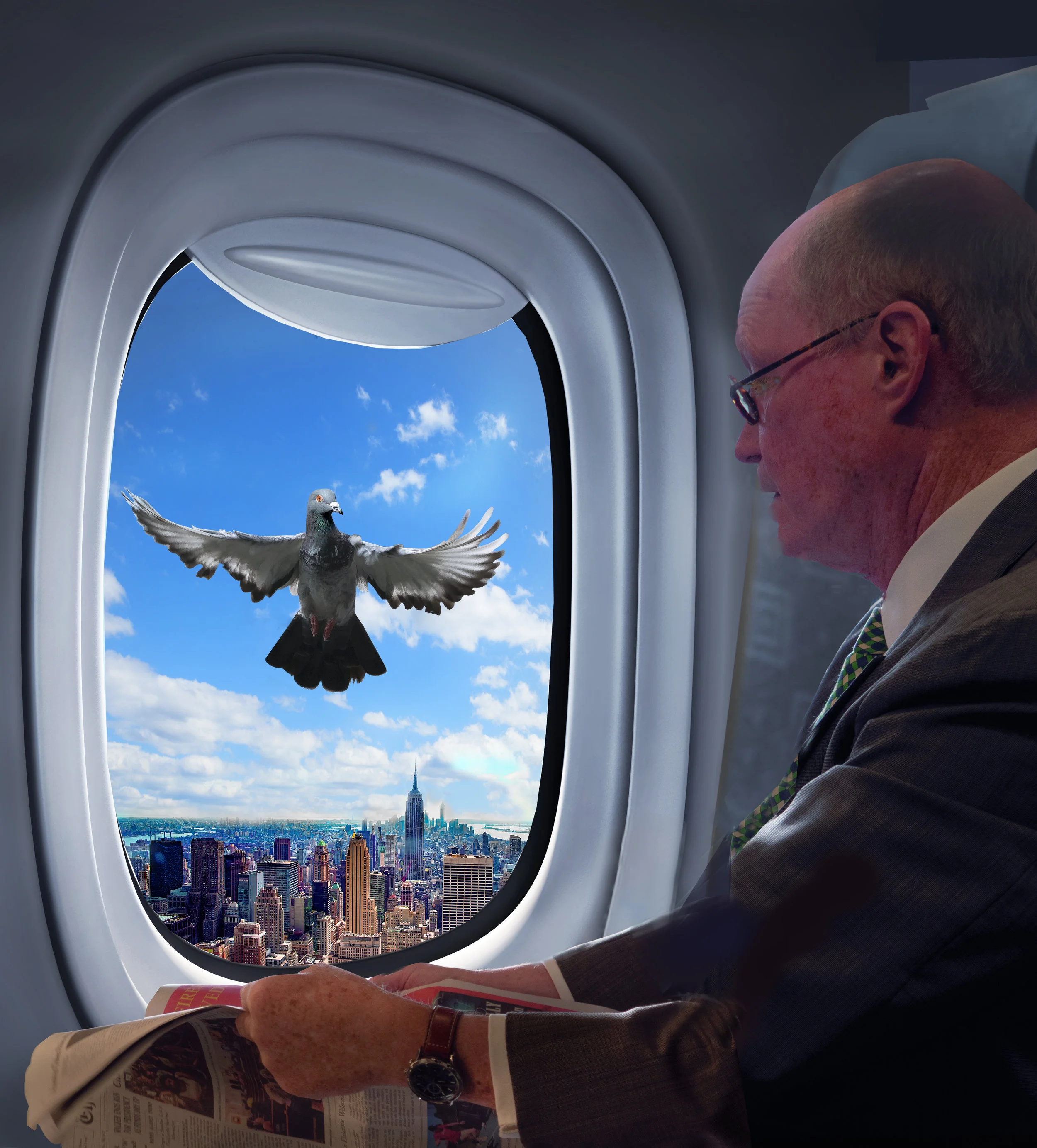 pigeonCityWindow6.jpg