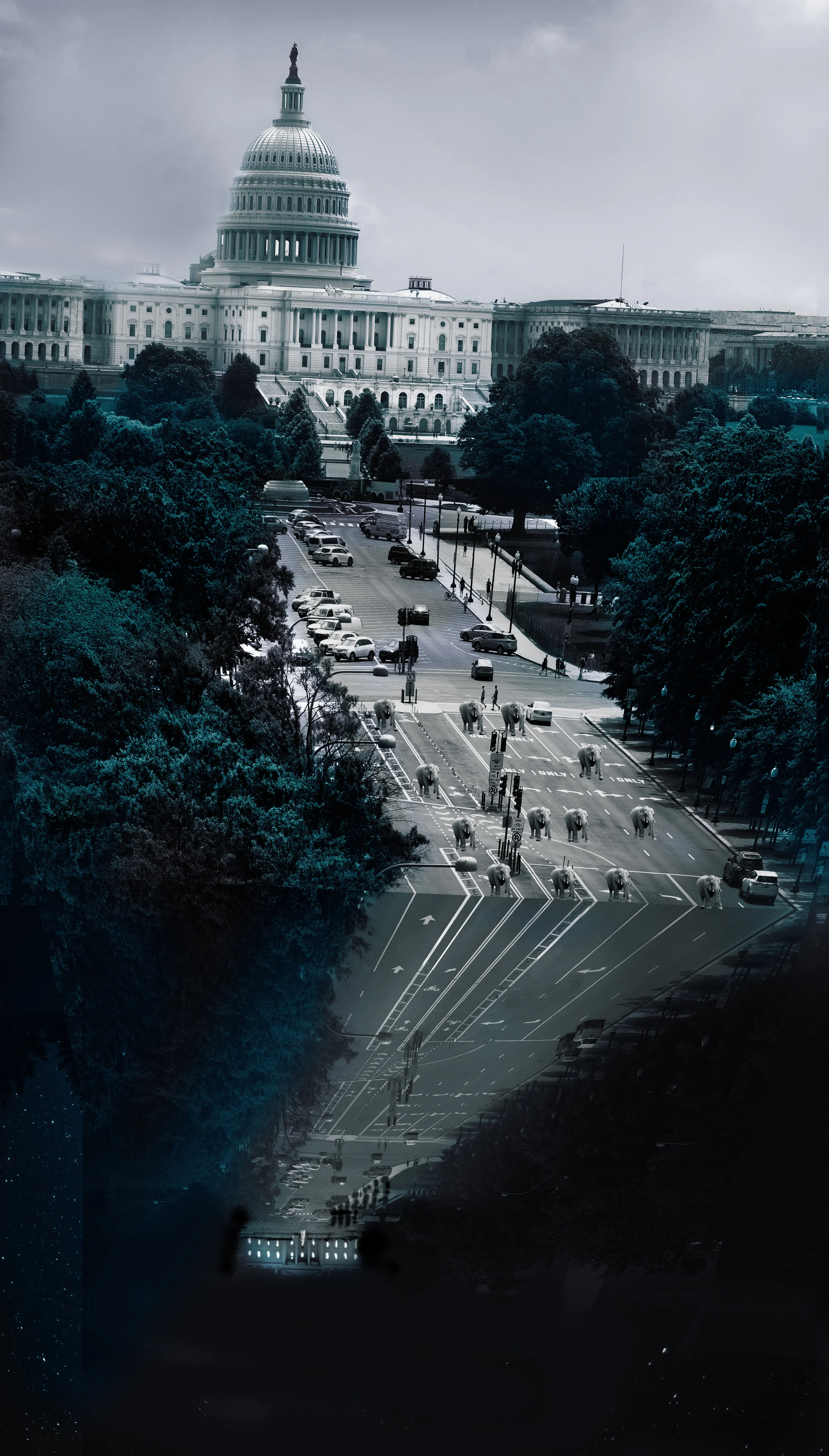 CapitalWhiteHouseCliff_b.jpg