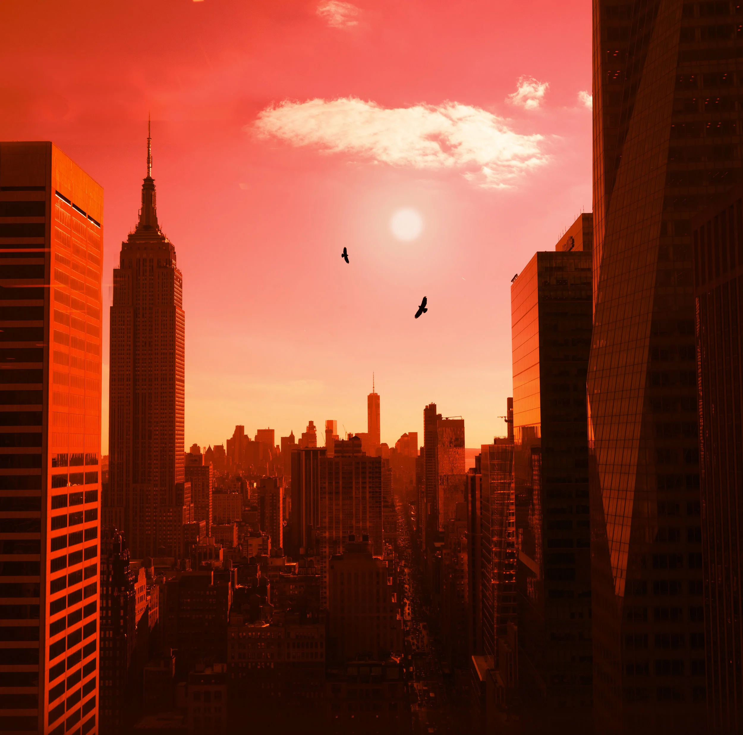 hotCity.jpg