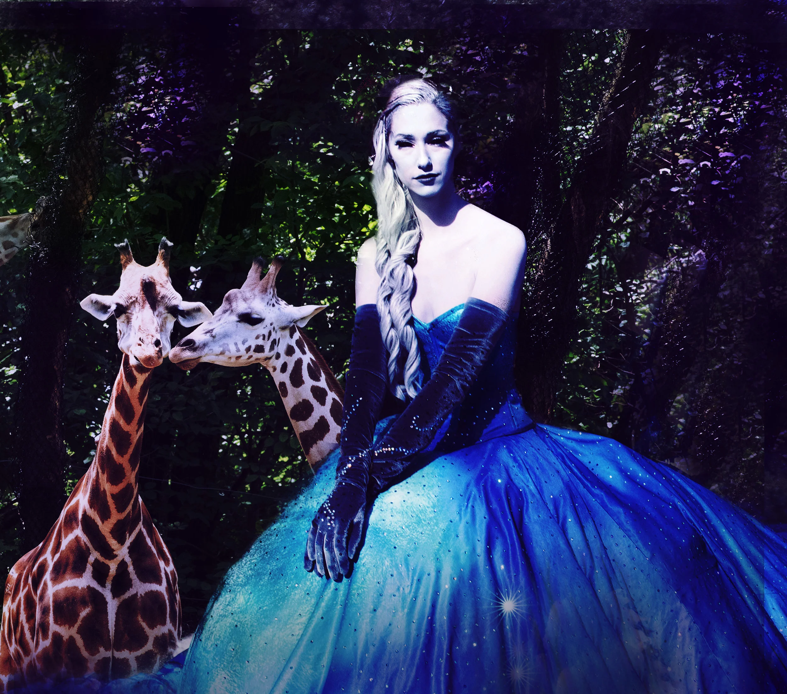 giraffeQueen.jpg