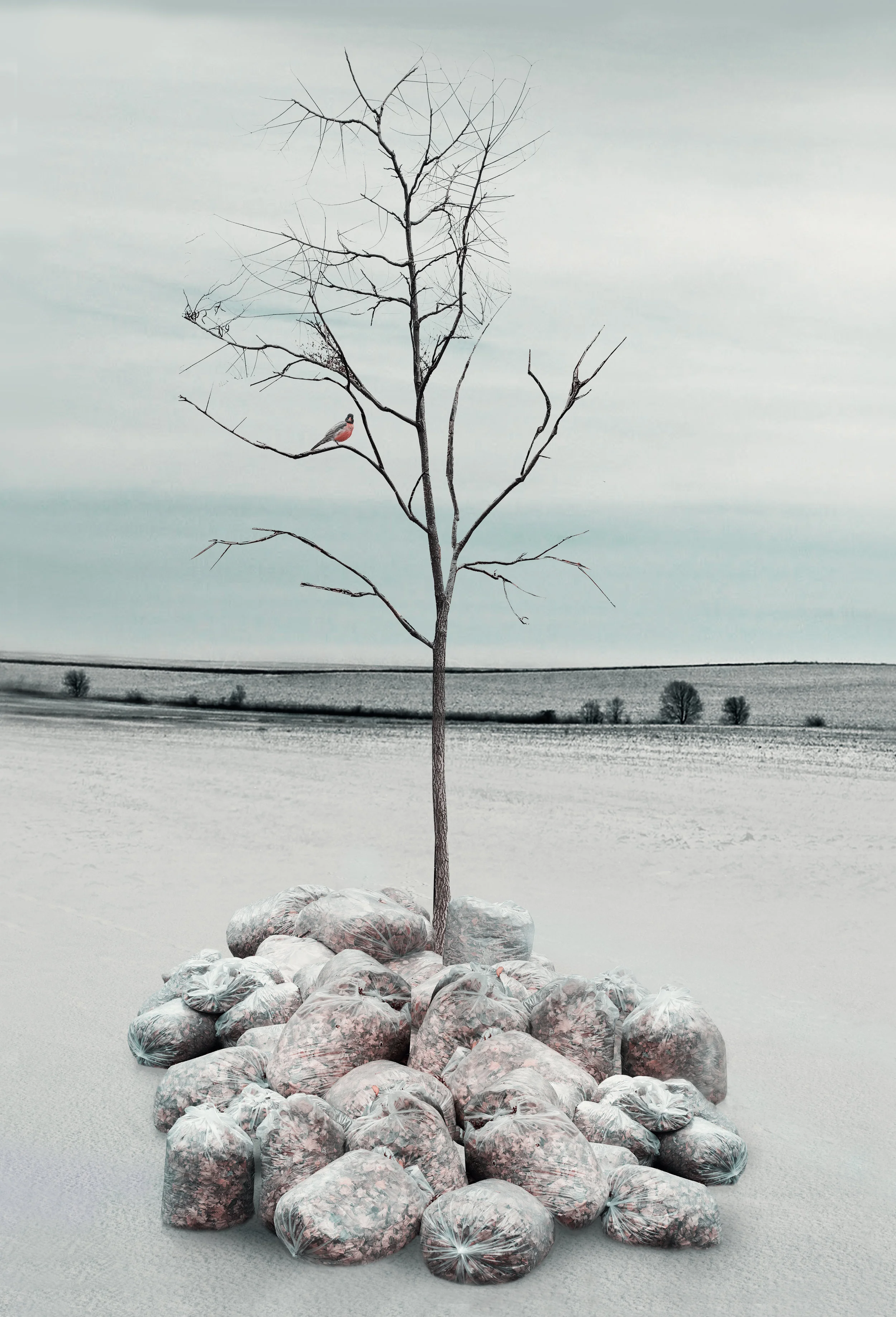 treeBaggedLeavesRetouched2.jpg