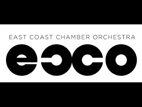 ECCO — Frank Salomon Associates,