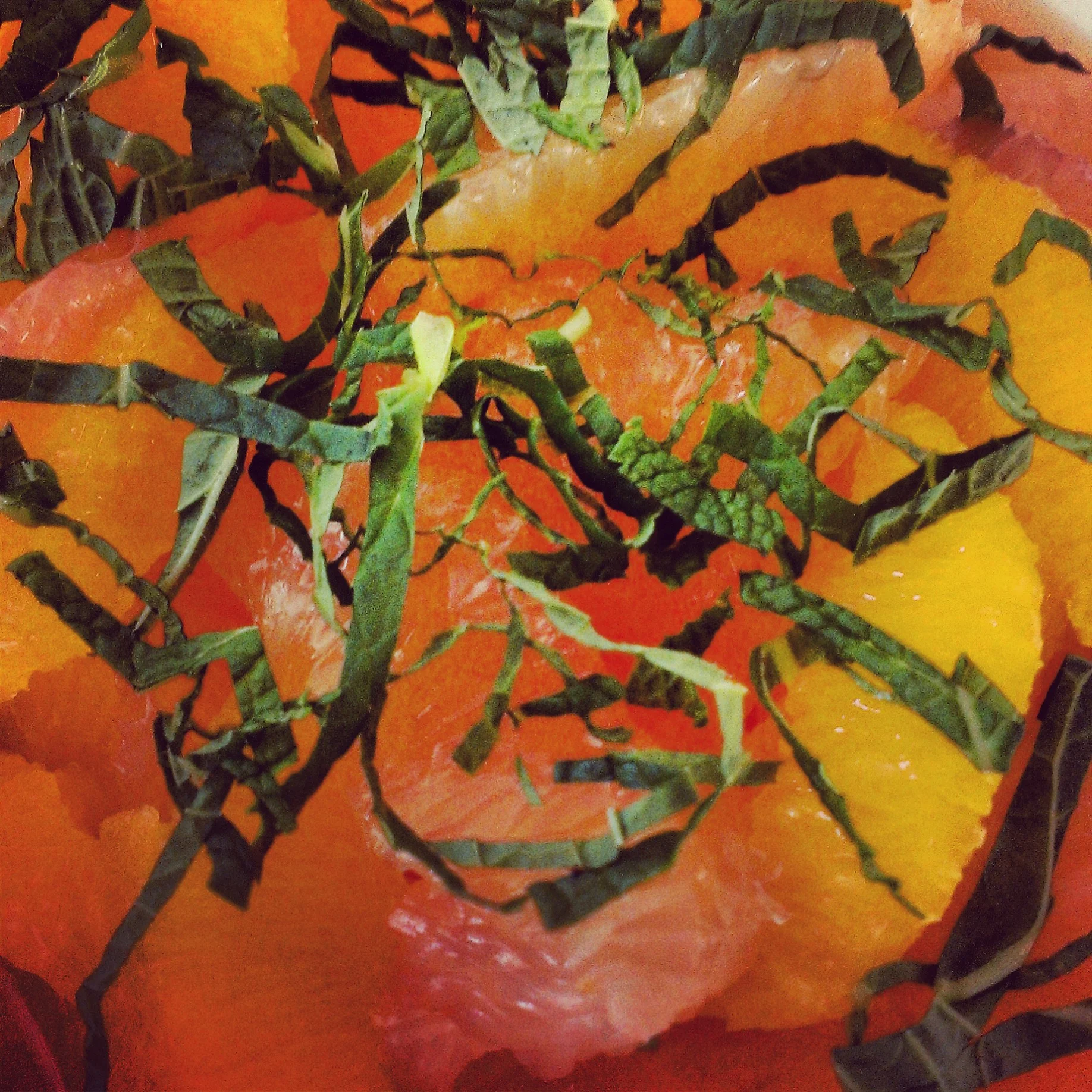 Minted Citrus Salad.jpg