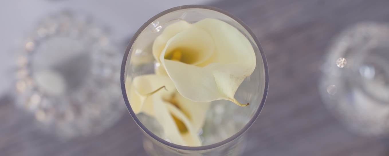 lilies.jpg