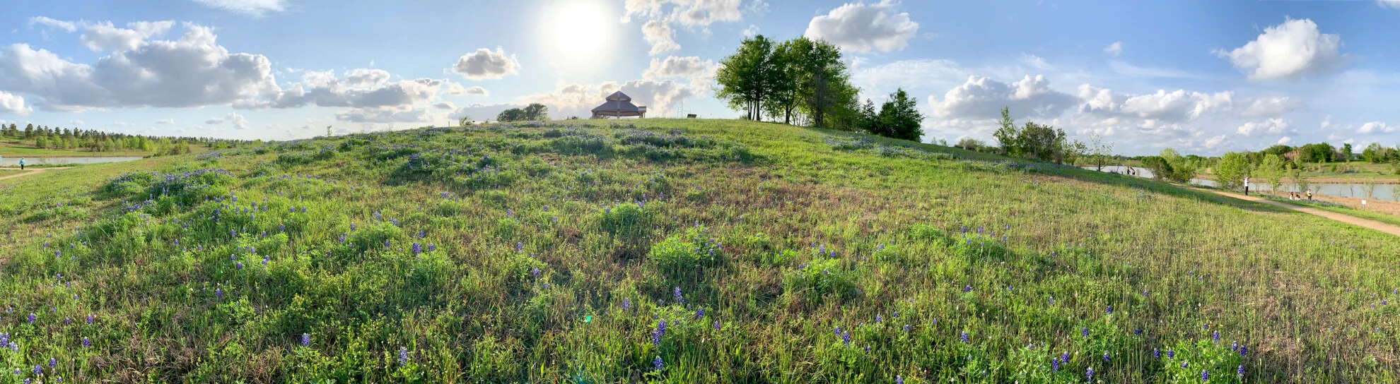 panorama.jpg
