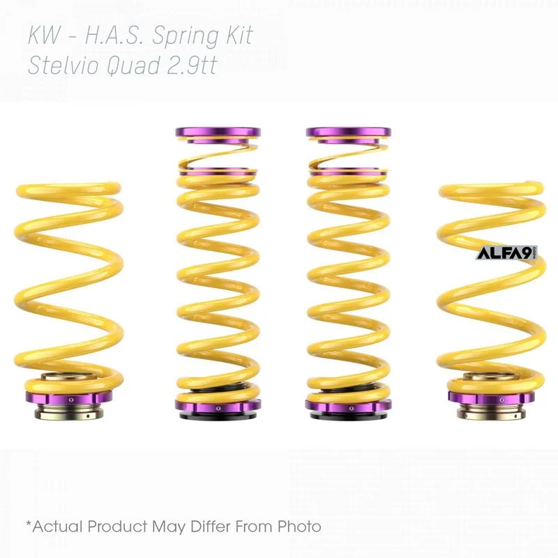 kw_25315032_STELVIO_KW_HAS_Springs.jpg