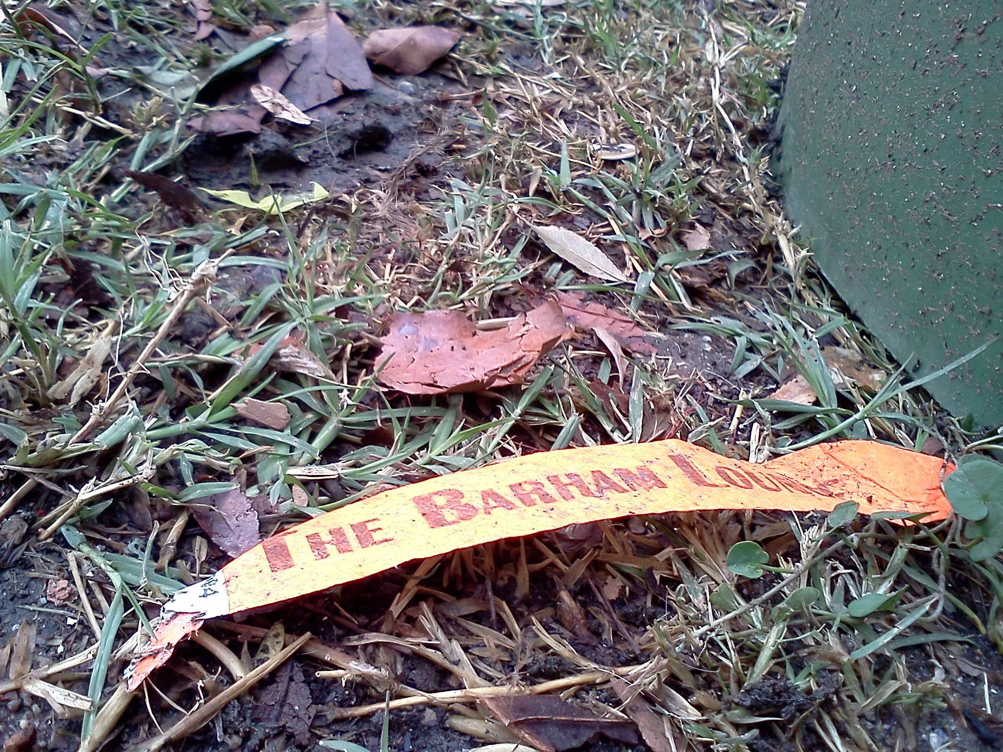 IMG_20111106_160224.jpg