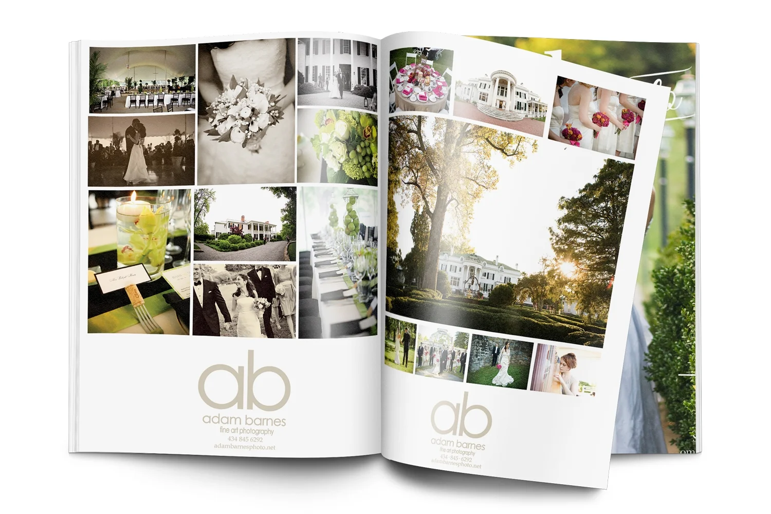 Design Kate Coogan Art Image