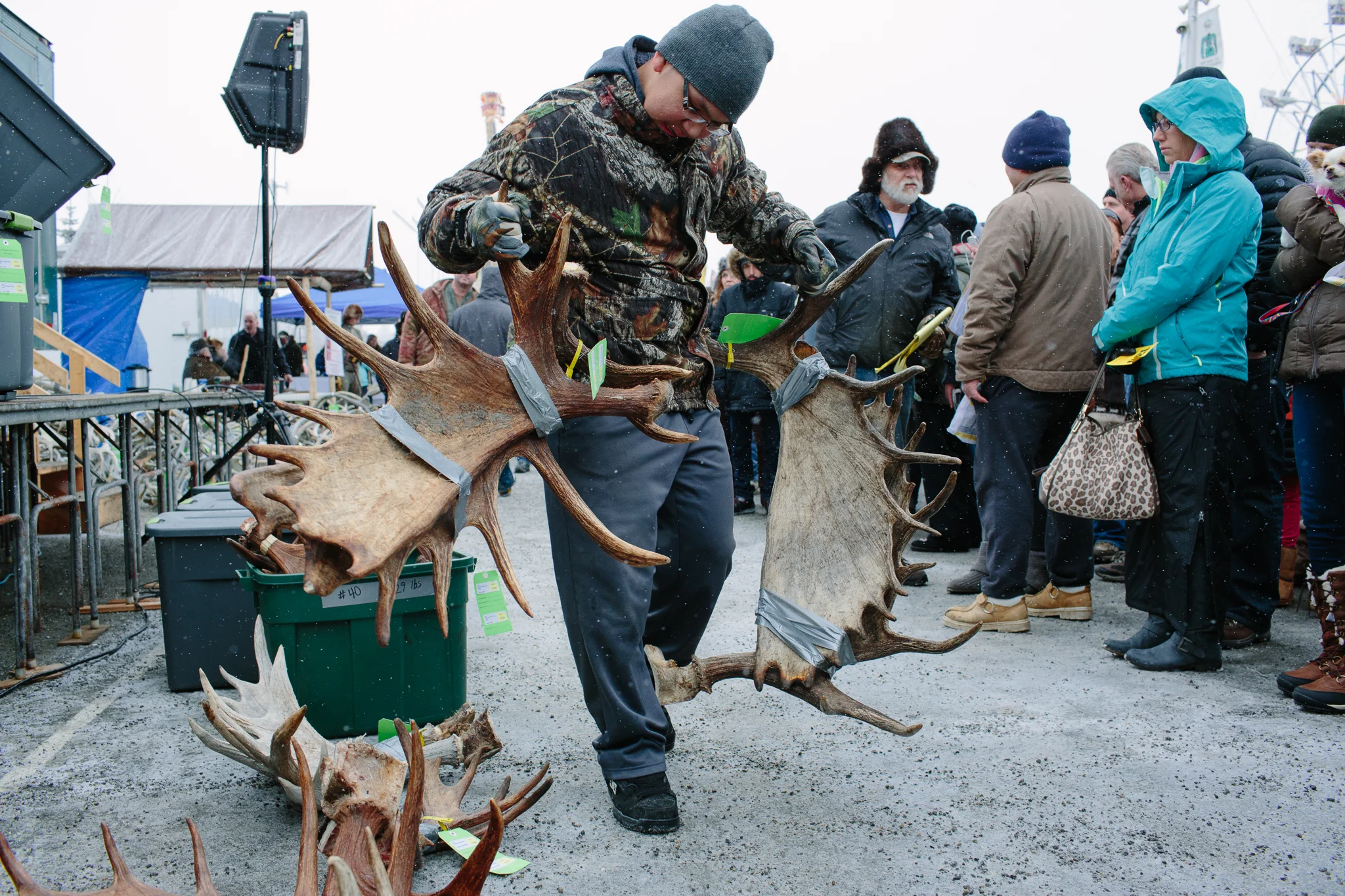 A volunteer brings over moose antlers to be bid upon by the crowd. Many bidders were artisans who will use the horns for carving and other commercial resale purposes.