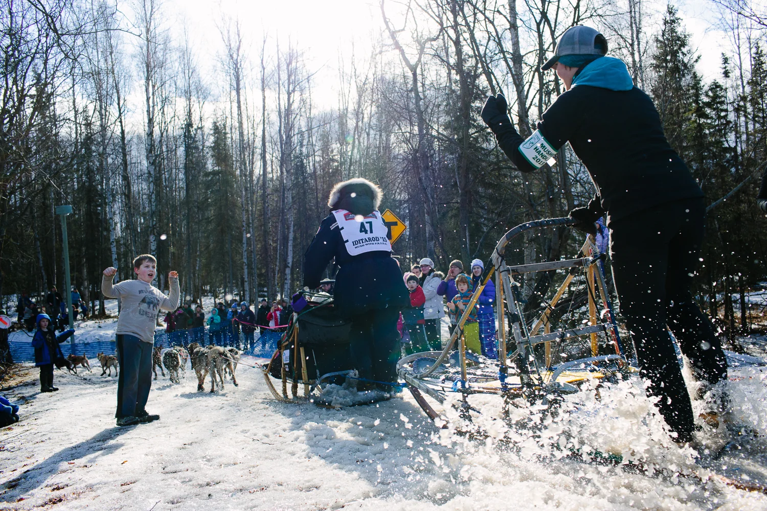 Becca Moore of Willow and her dog handler passed crowds of young people in Anchorage Alaska during the Iditarod's Ceremonial Start. March 7, 2015. Teams faced warm temperatures and lack of snow on the 11 mile ceremonial start route.