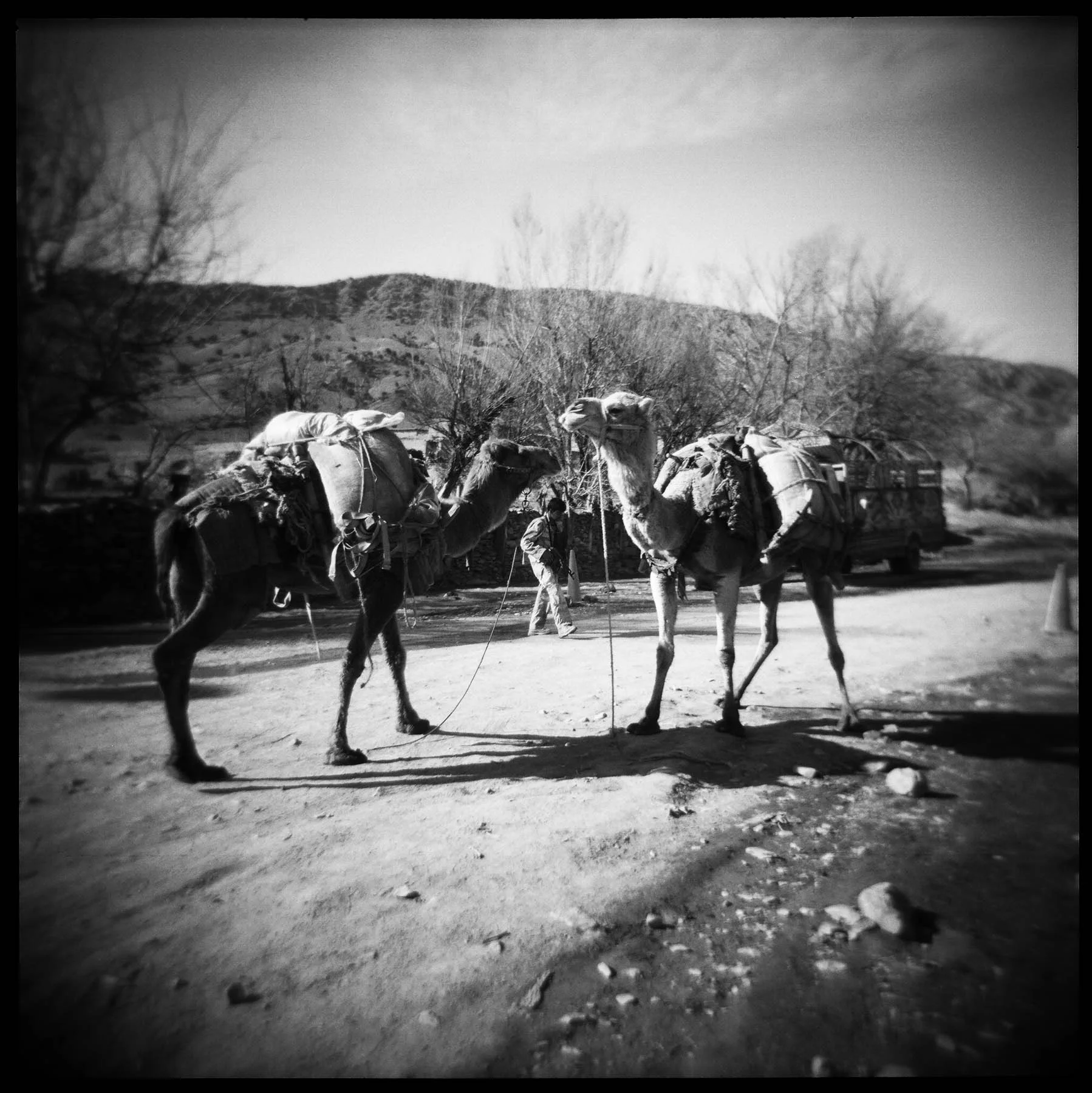 An Afghan Border Police member and camels owned by "Kuchi" nomads at the border crossing between Pakistan and Afghanistan near FOB Tillman in Gayan District, Paktika Province, Afghanistan. 2011.