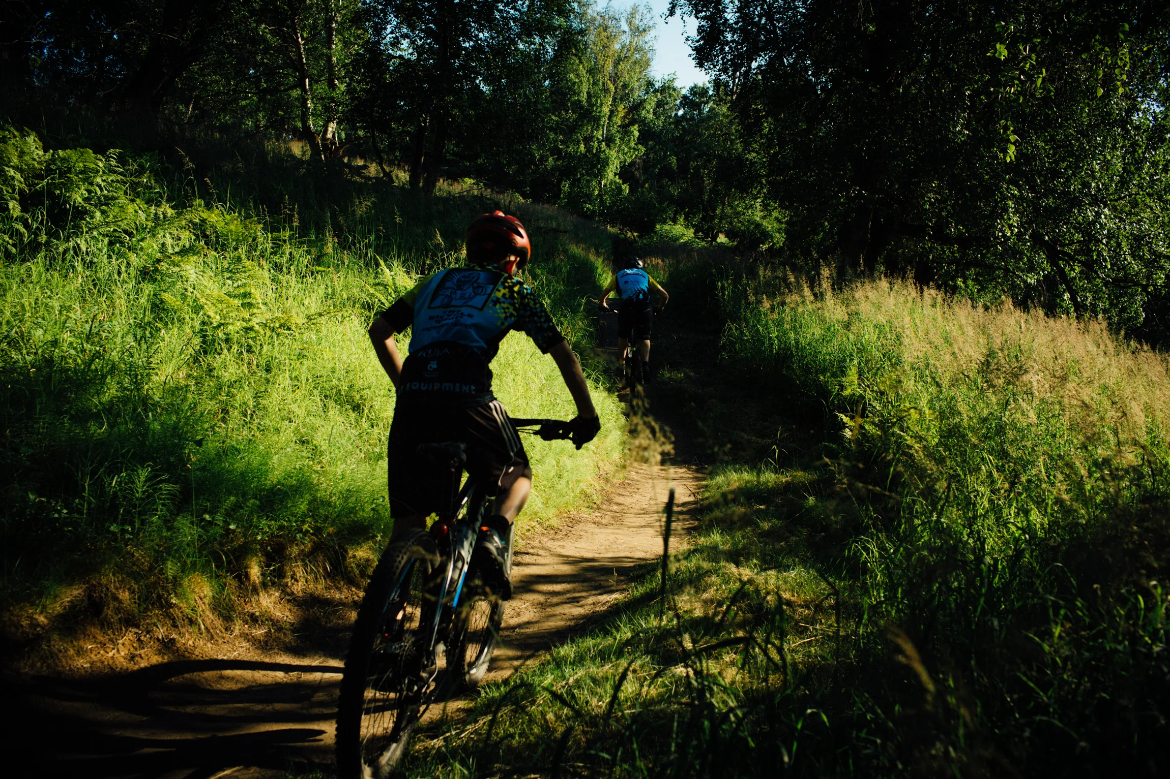 Single-track mountain biking trails abound in Kincaid park.