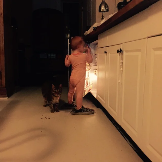 image.jpg